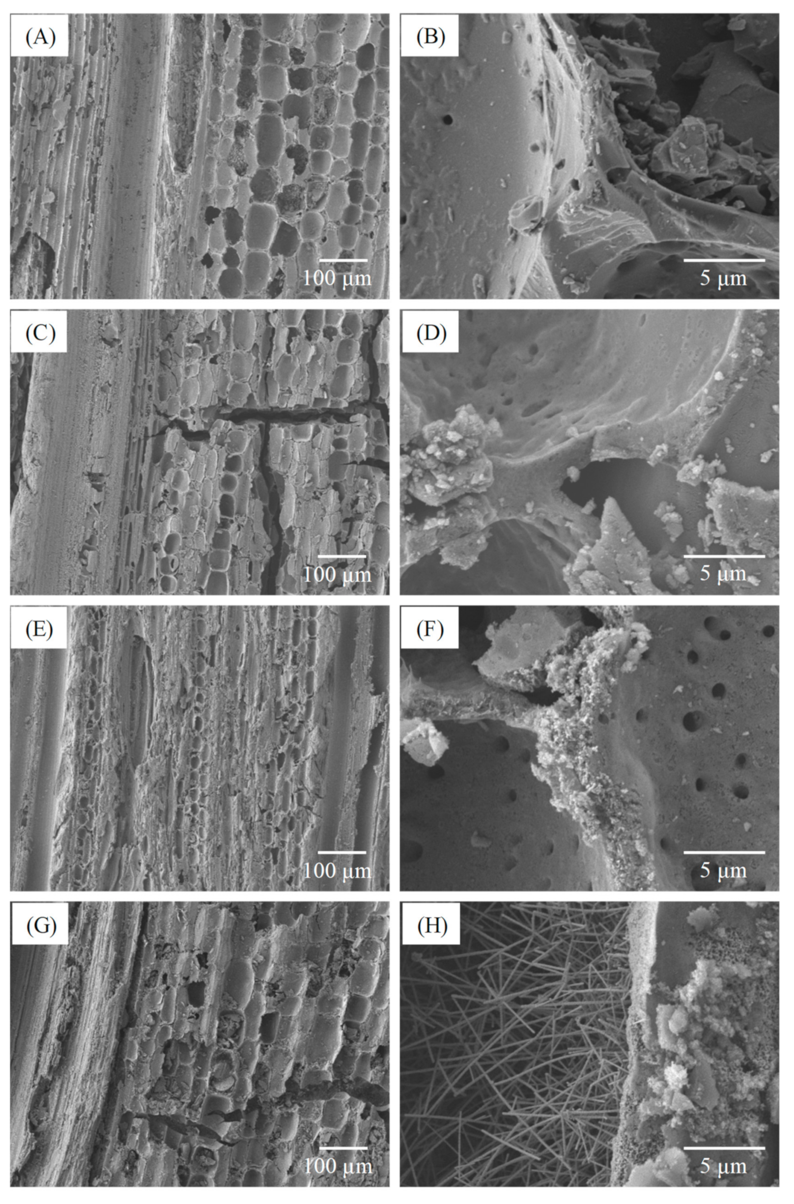 Polymers 11 01442 g003