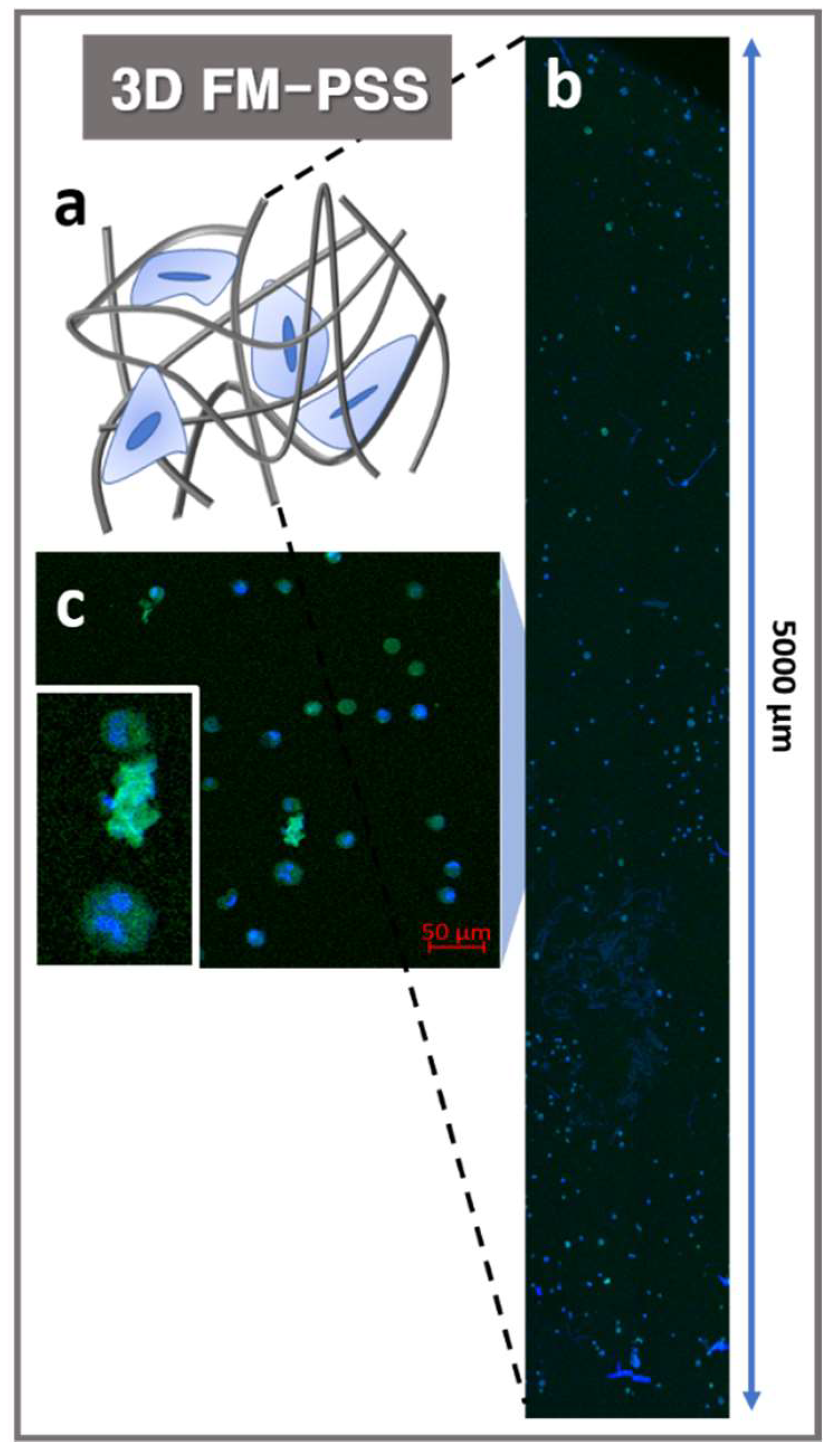Polymers 11 01444 g005 550