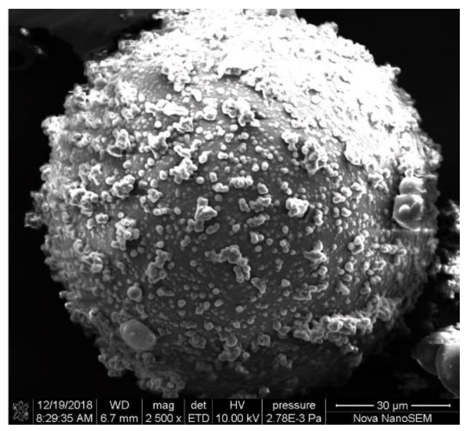 Polymers 11 01447 g006 Polymers 11 01447 g006