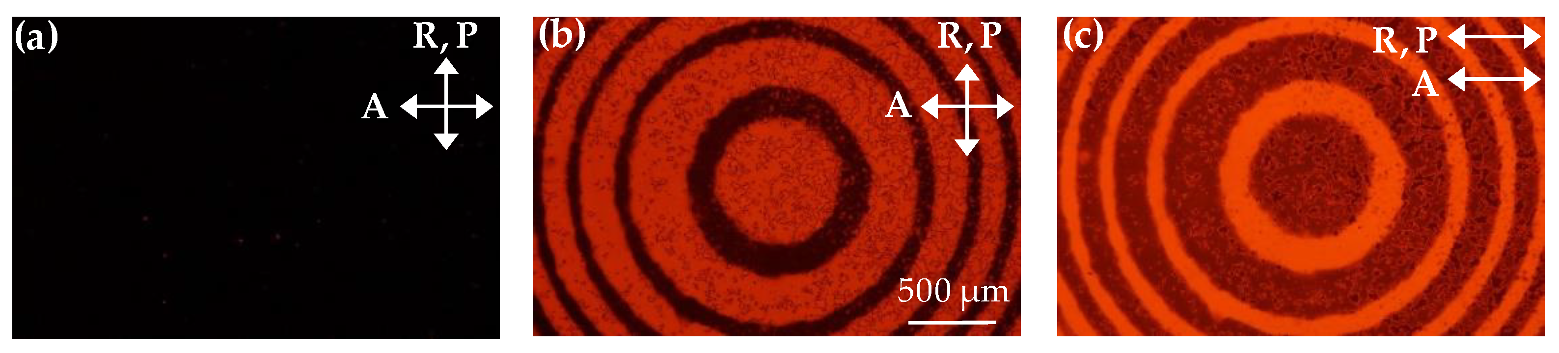 Polymers 11 01448 g003