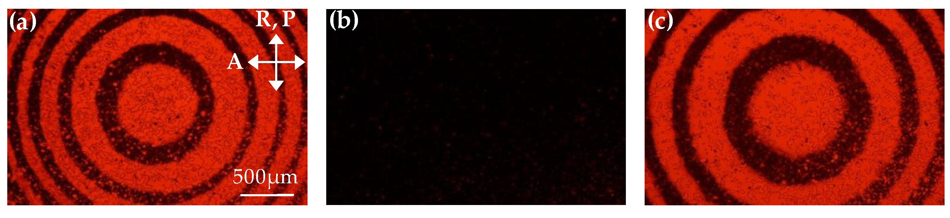 Polymers 11 01448 g007