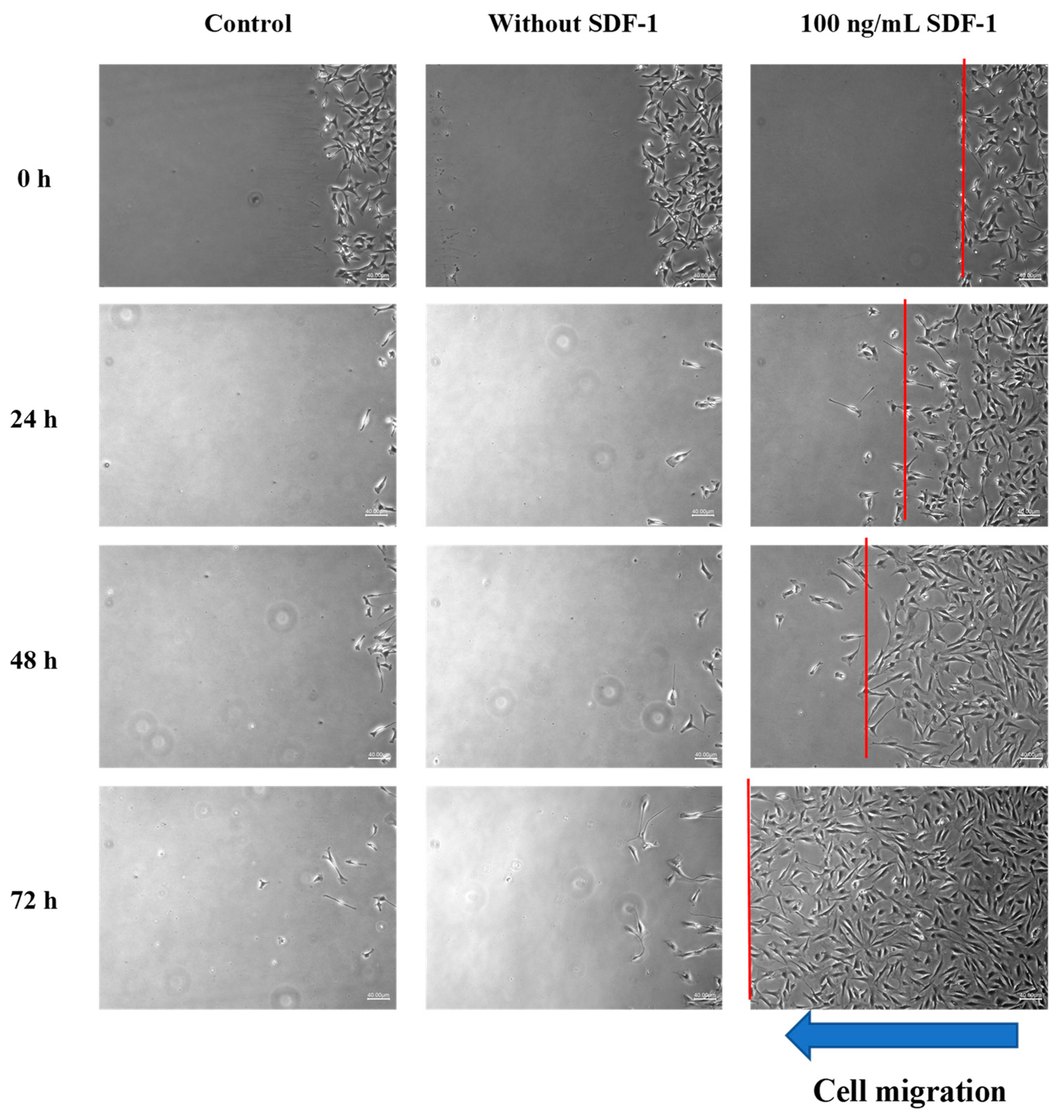 Polymers 11 01454 g007
