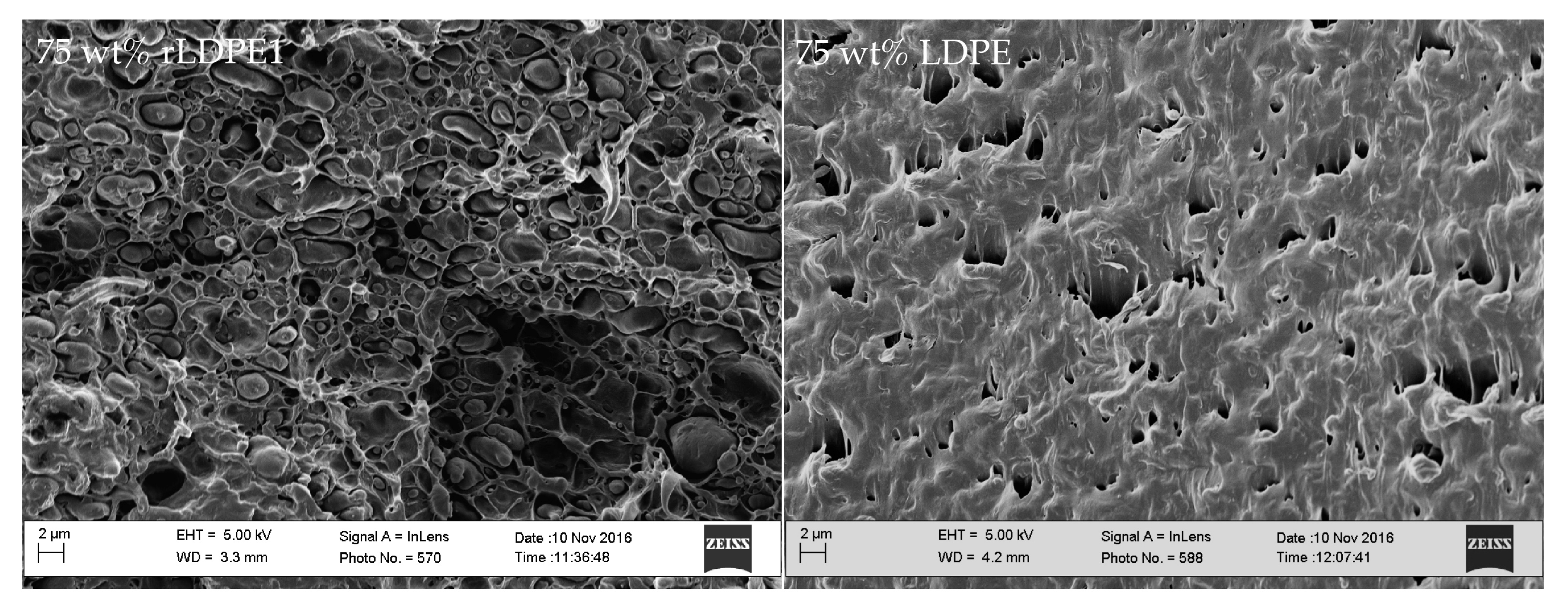 Polymers Free FullText Recycling of Polypropylene/Polyethylene