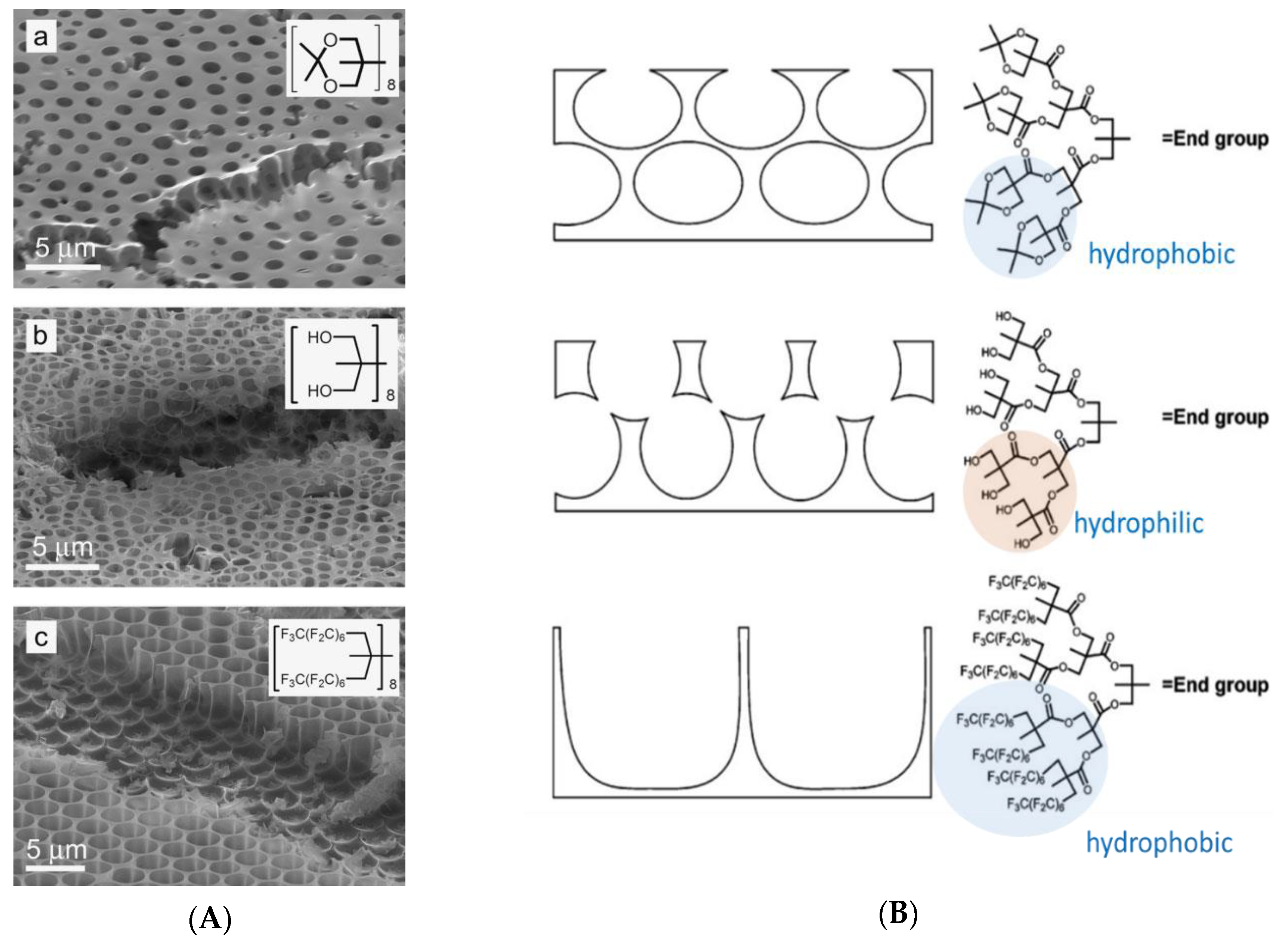 Polymers 11 01473 g003