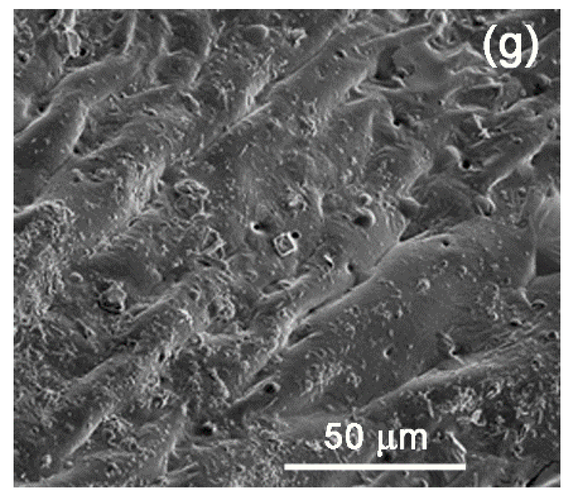 Polymers 11 01479 g006b