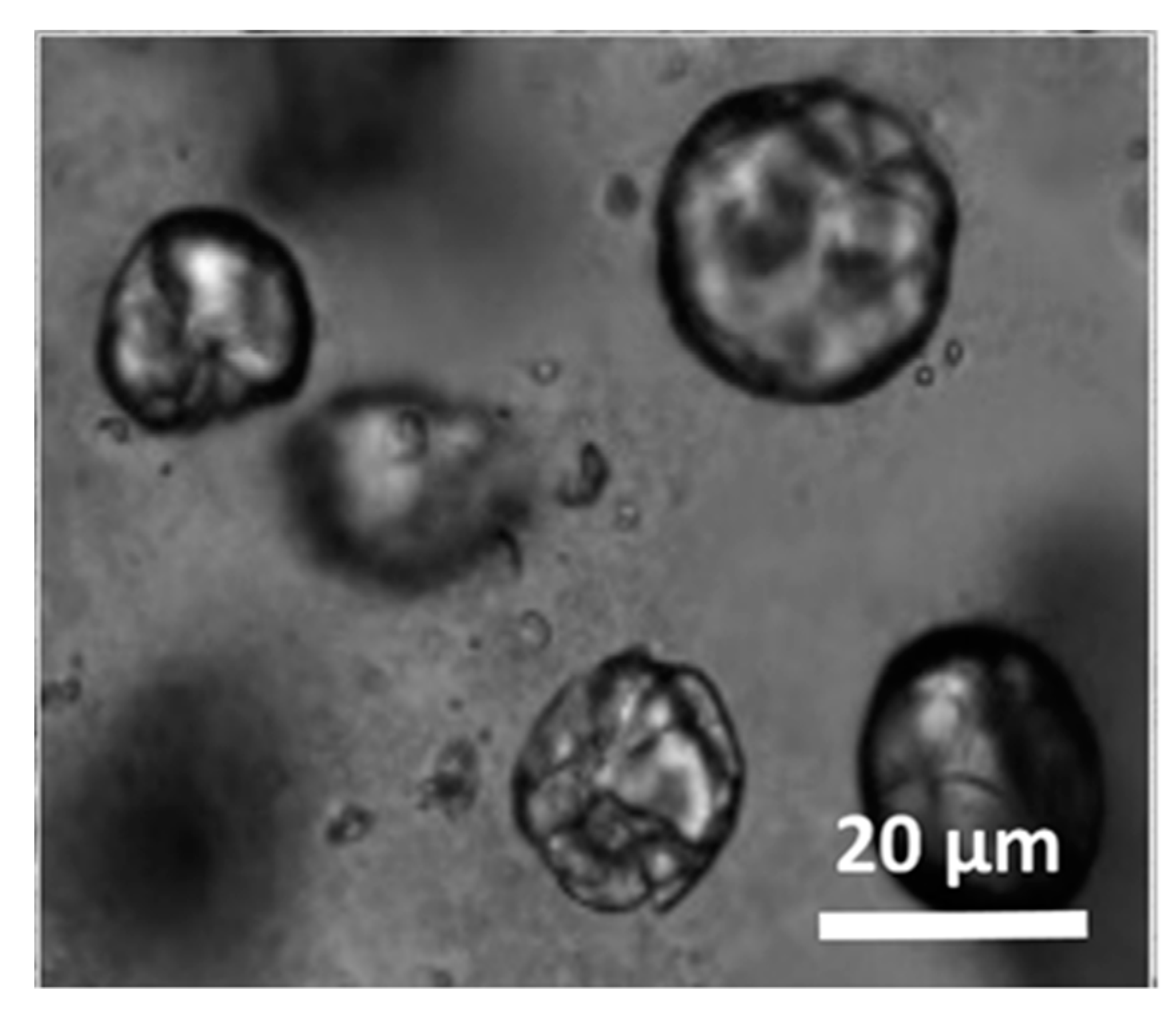 Polymers 11 01480 g0a8