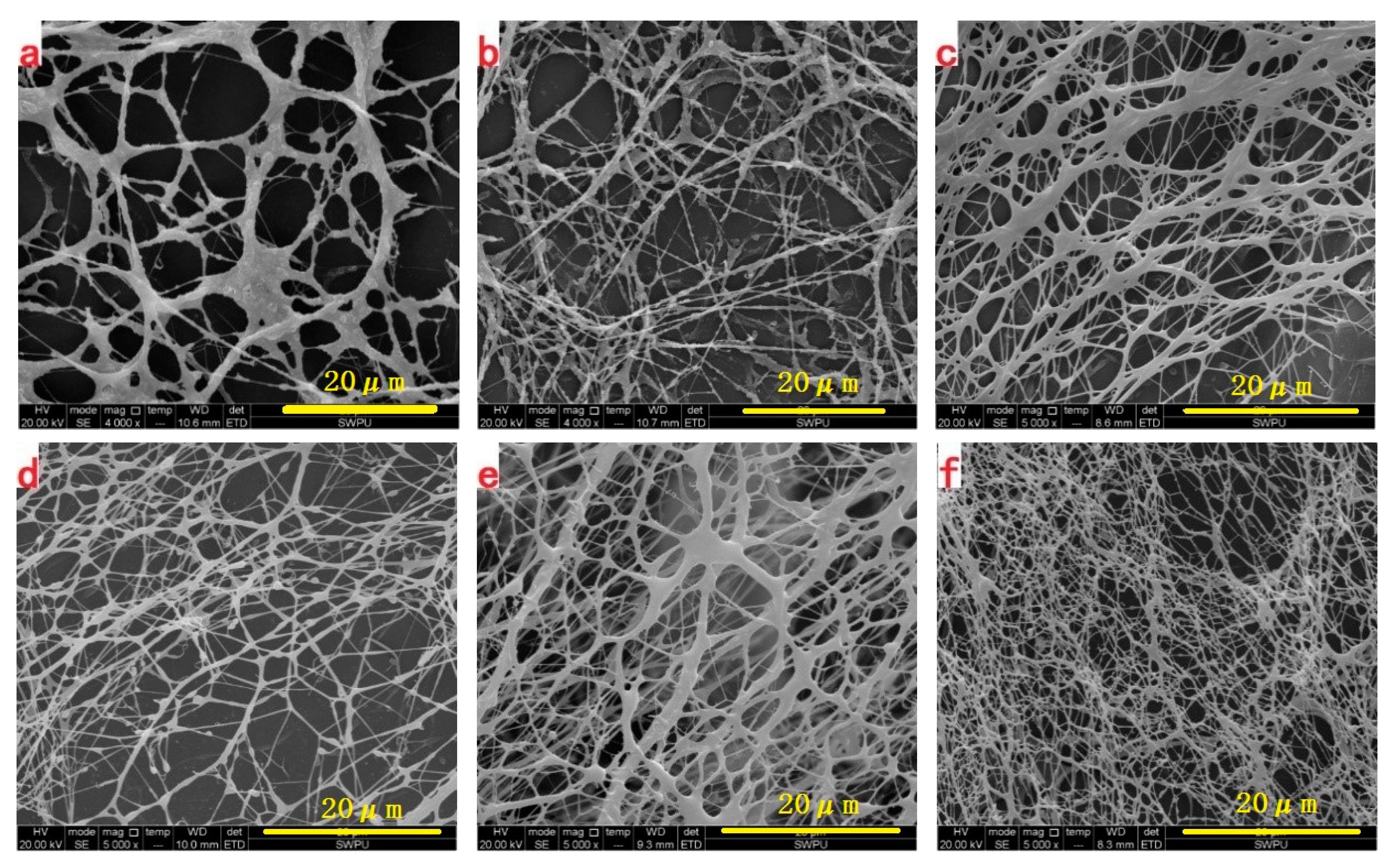 Polymers 11 01483 g004