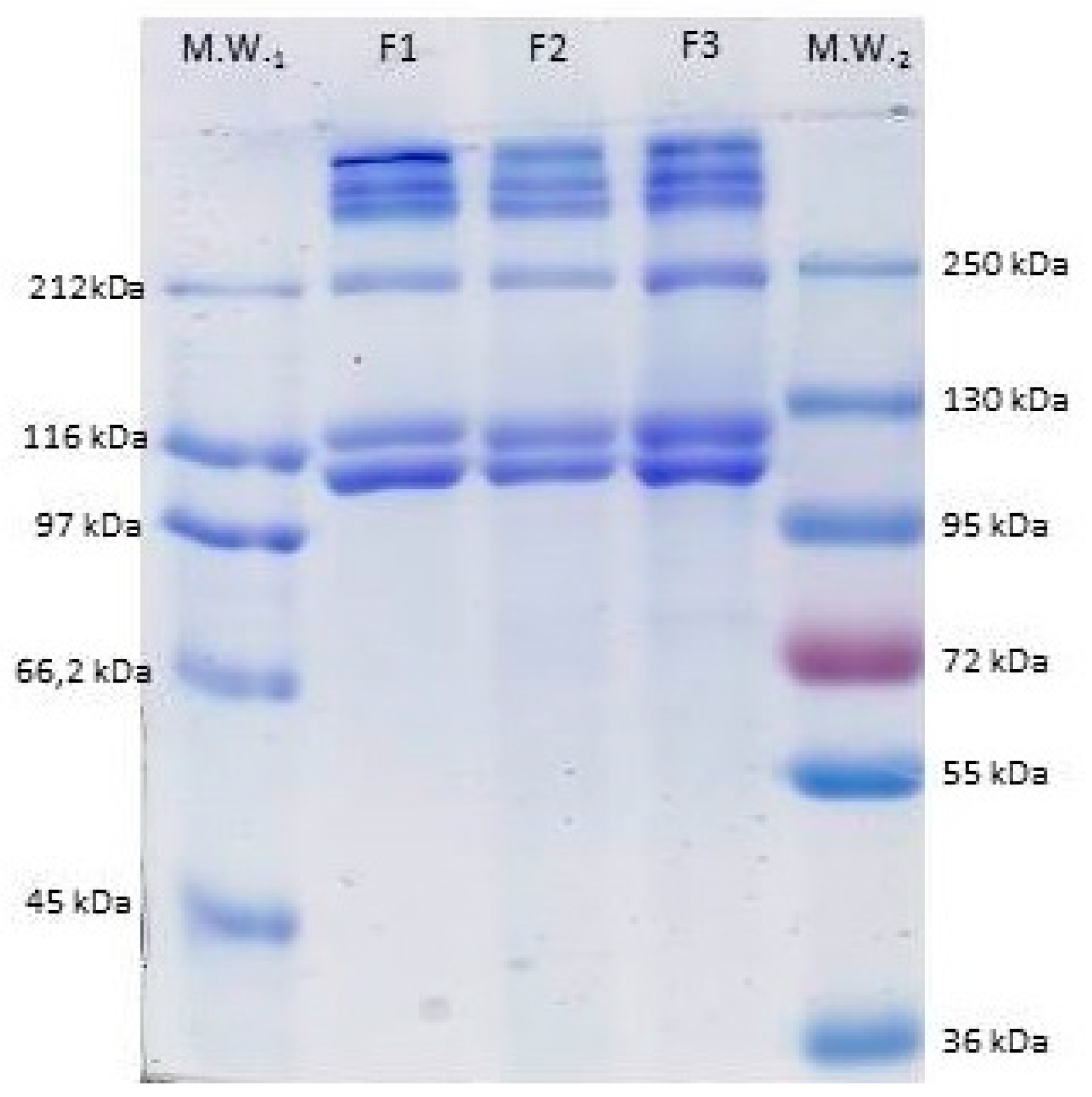 Polymers 11 01485 g010