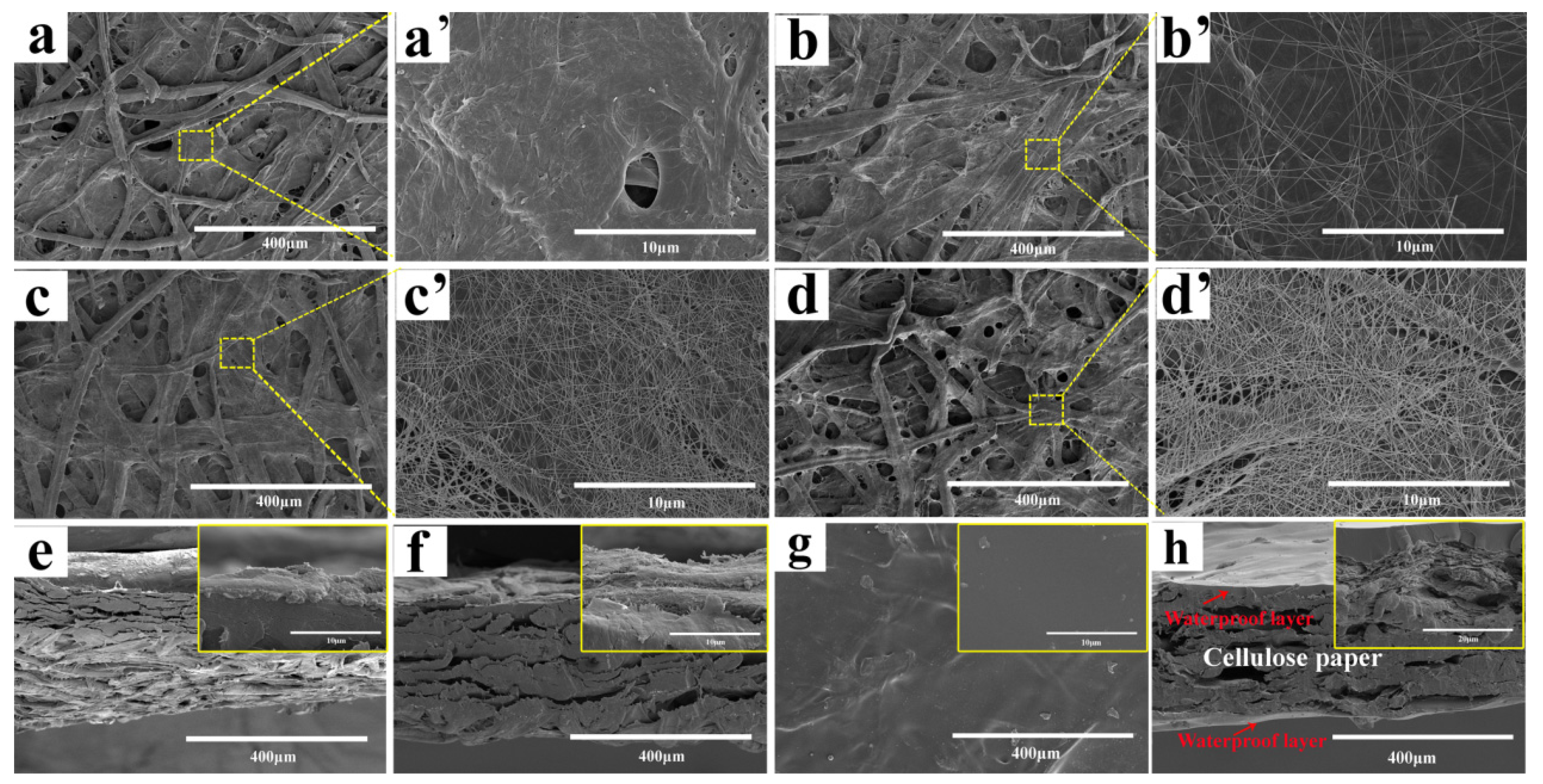 Polymers 11 01486 g002 Polymers 11 01486 g002