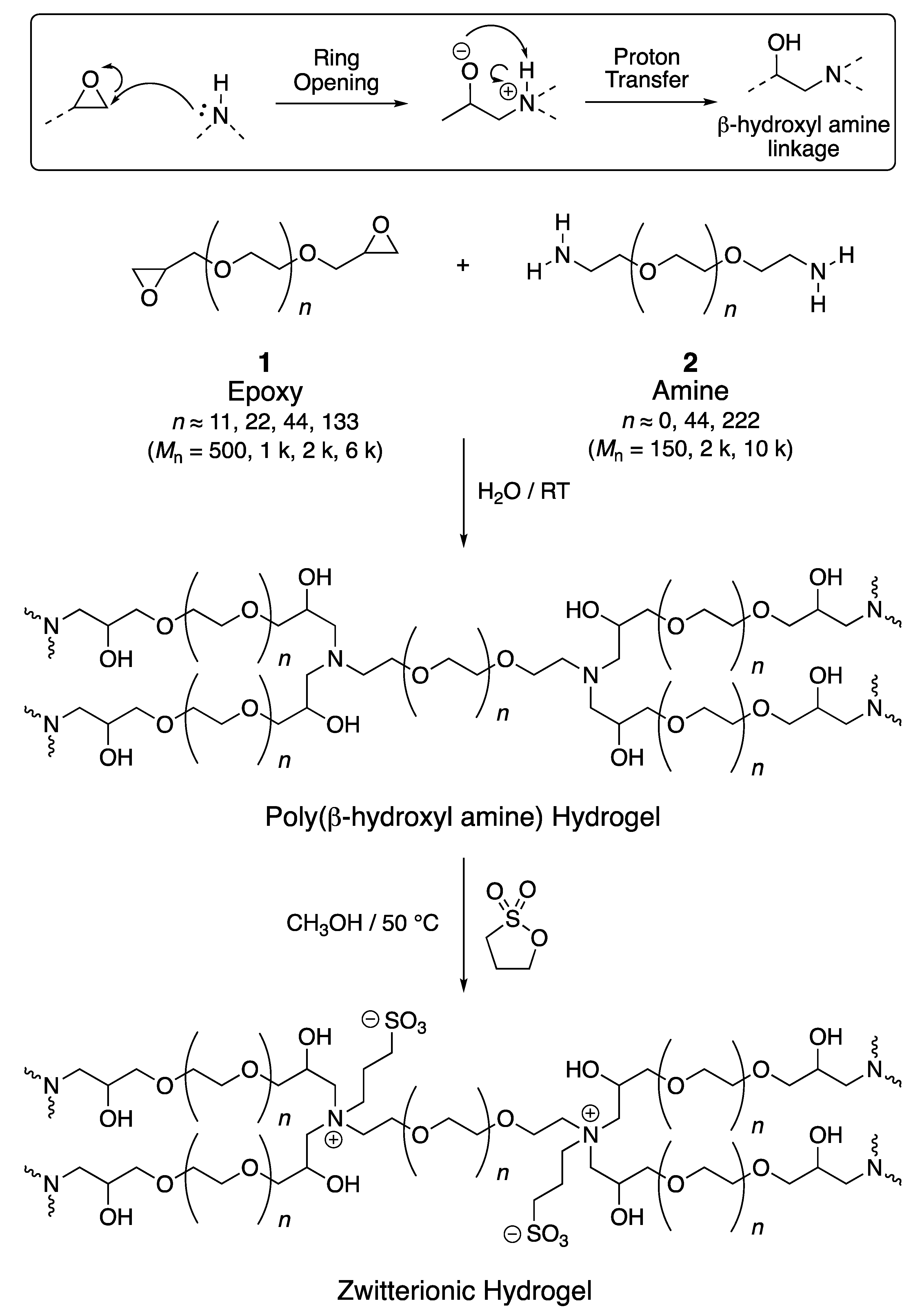 Polymers 11 01491 sch001 Polymers 11 01491 sch001