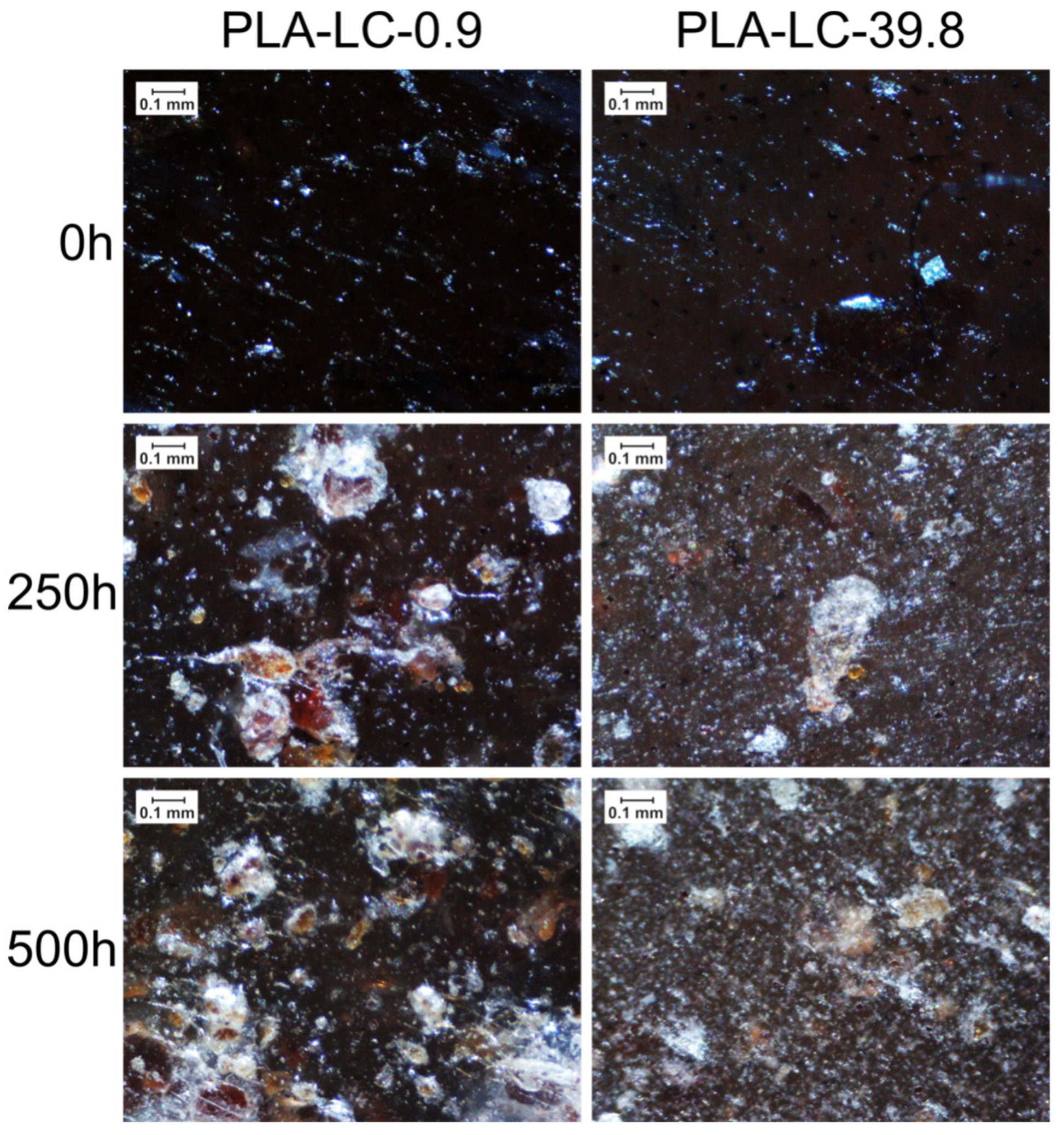 Polymers 11 01495 g003