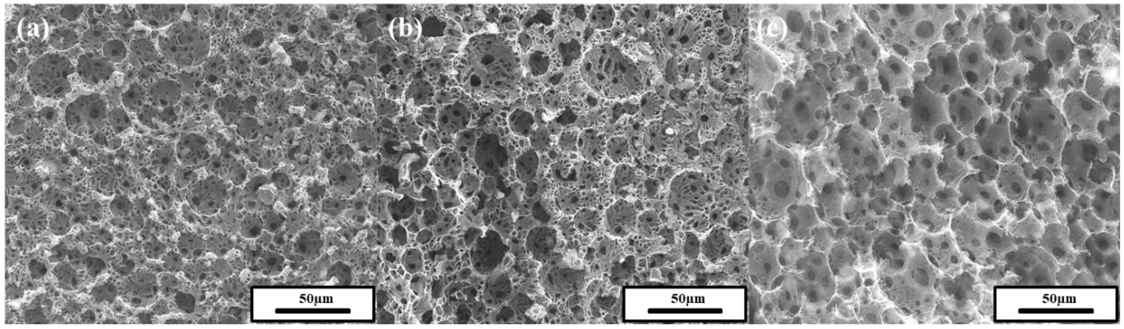 Polymers 11 01499 g009