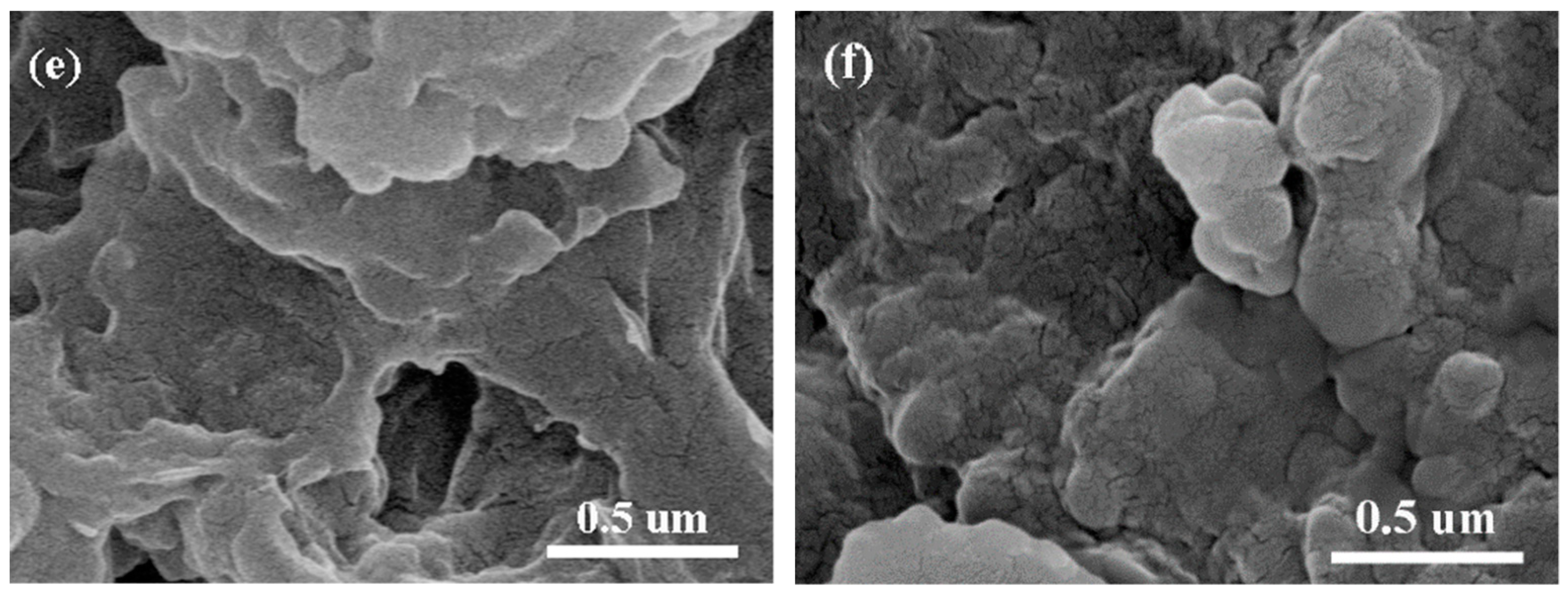 Polymers 11 01503 g002b Polymers 11 01503 g002b