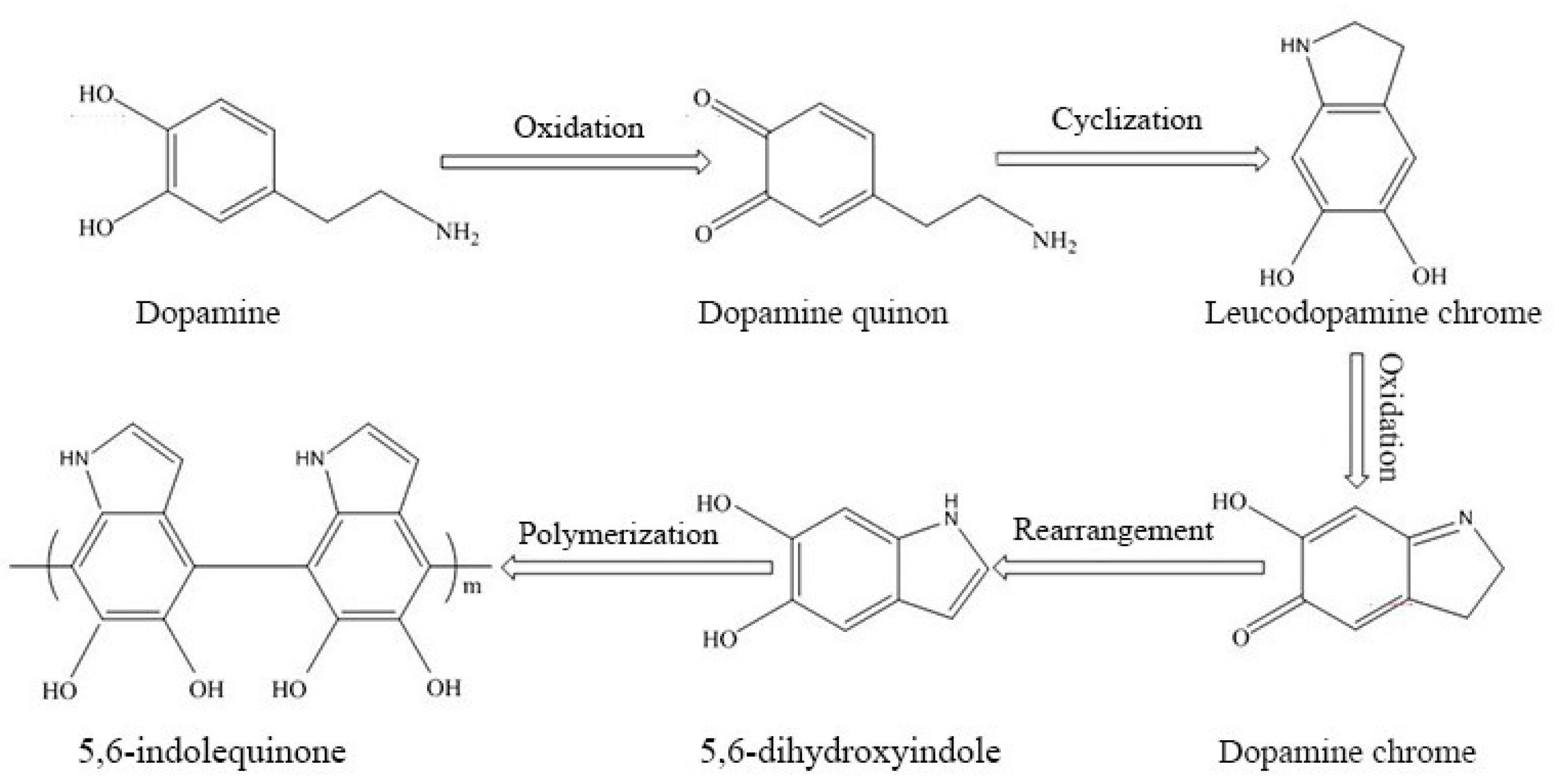 Polymers 11 01503 g008 Polymers 11 01503 g008