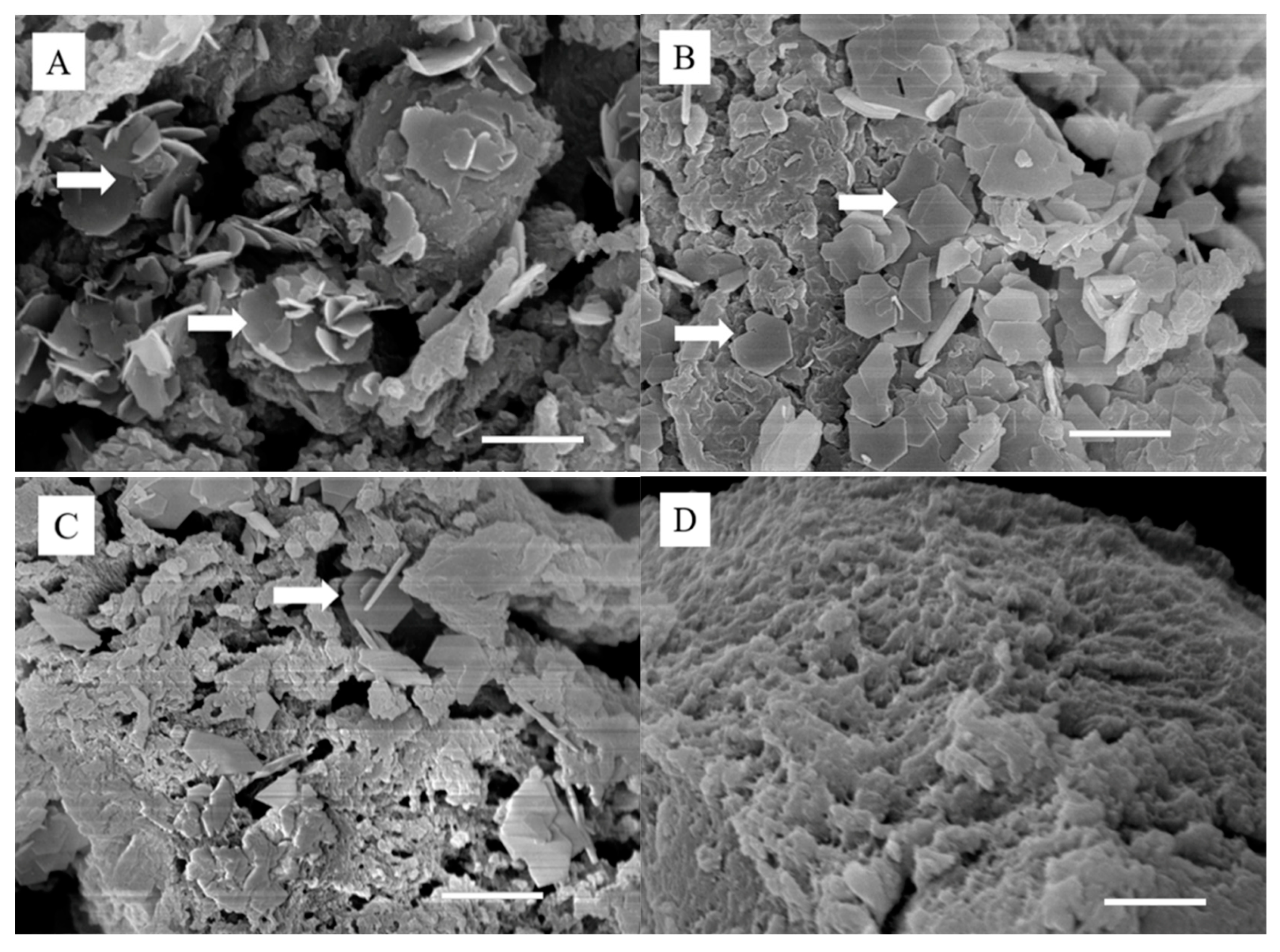 Polymers 11 01505 g002 Polymers 11 01505 g002