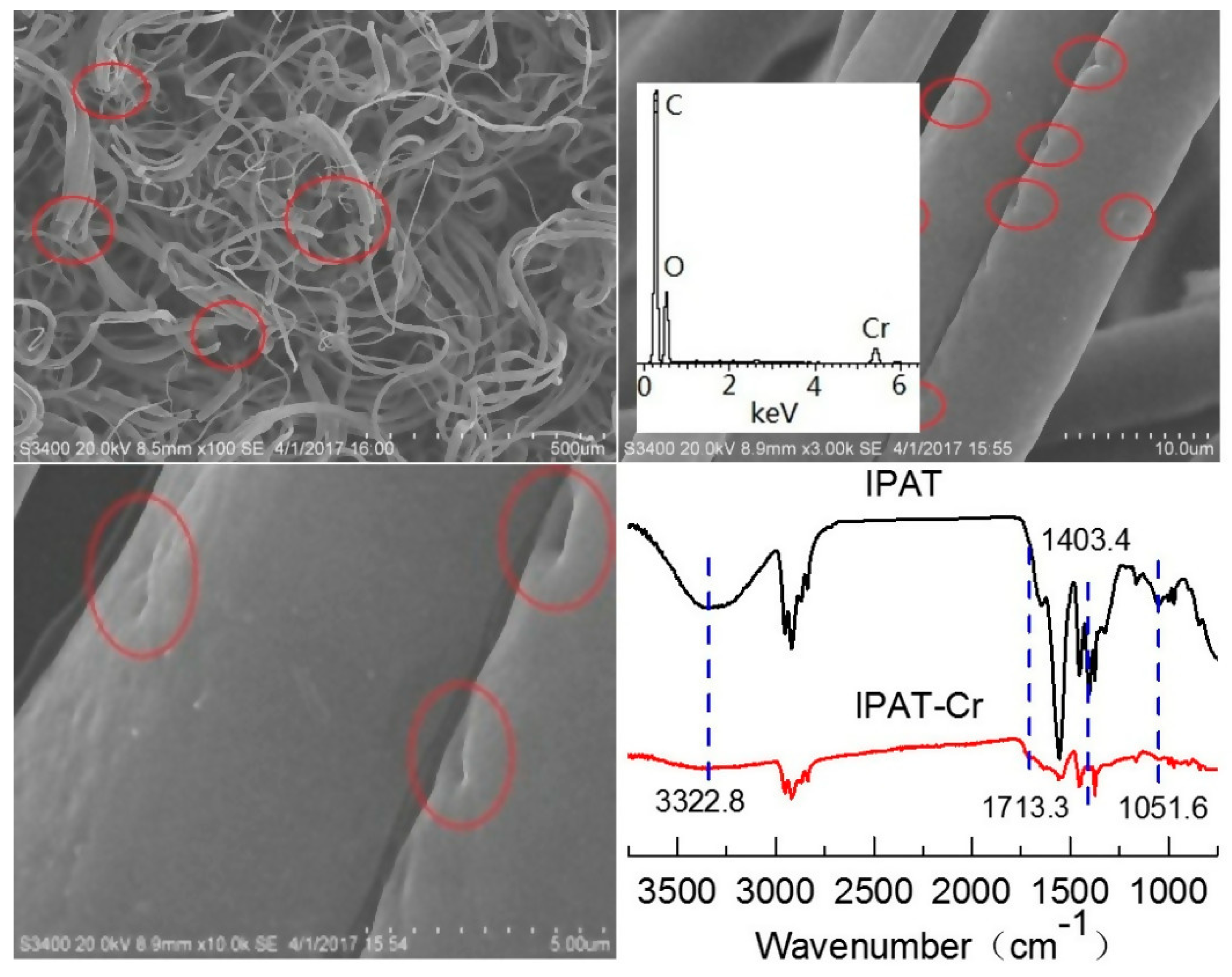 Polymers 11 01508 g014 Polymers 11 01508 g014