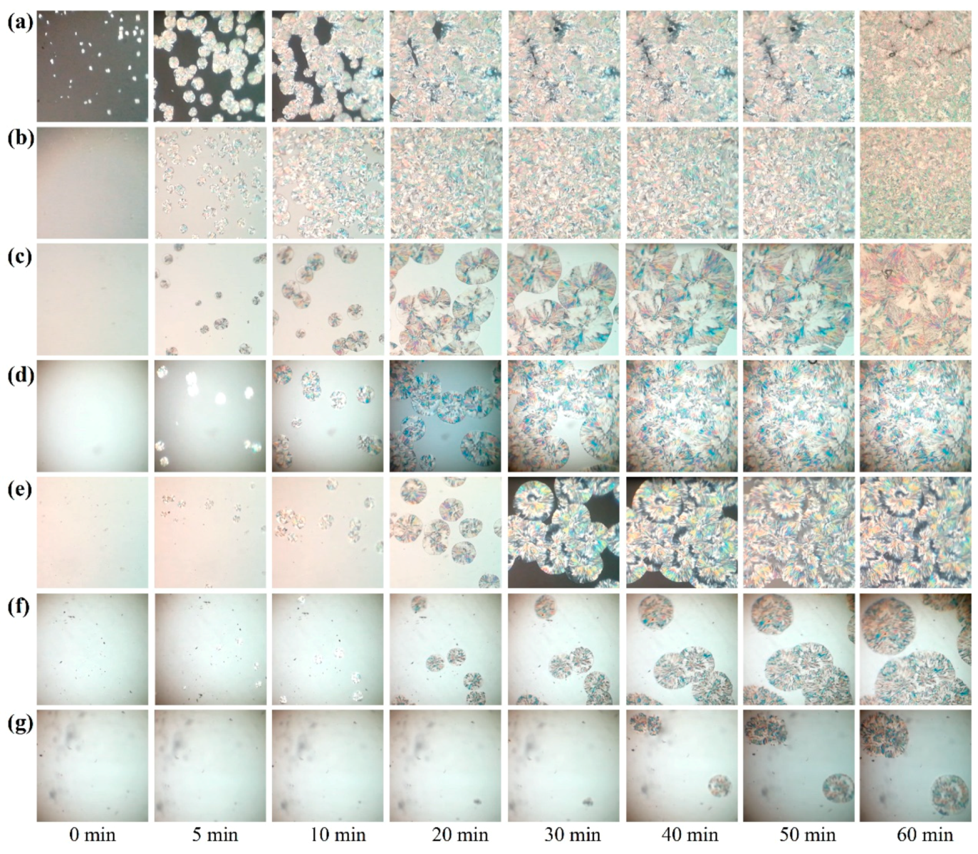 Polymers 11 01516 g012 550