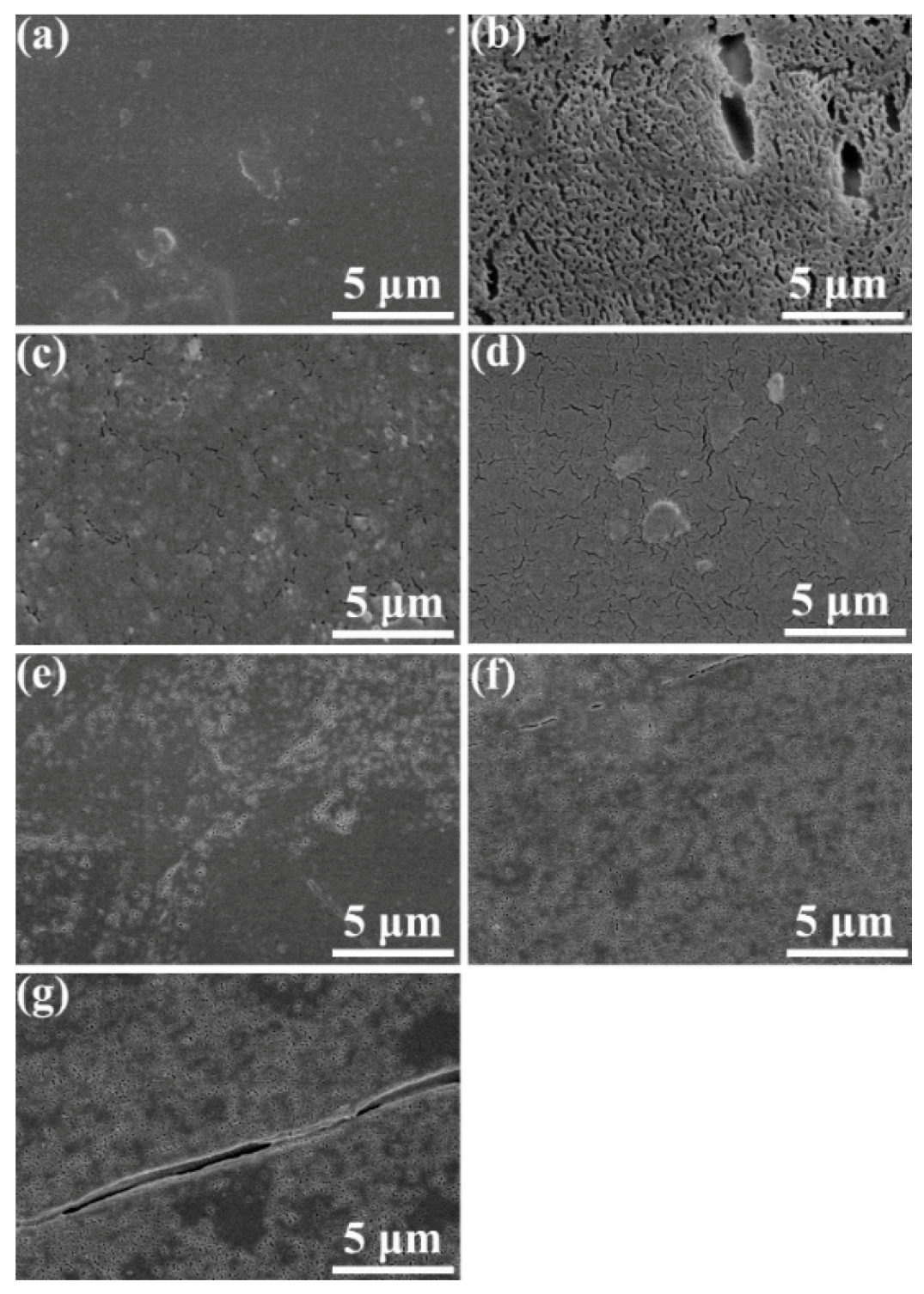 Polymers 11 01516 g016 550