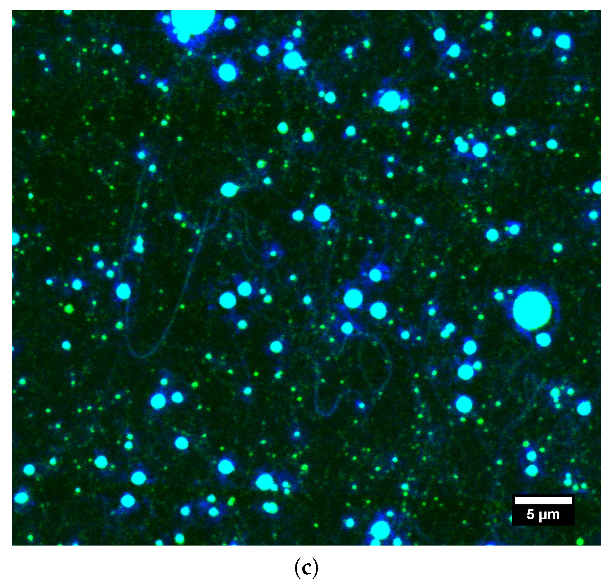 Polymers 11 01517 g004b