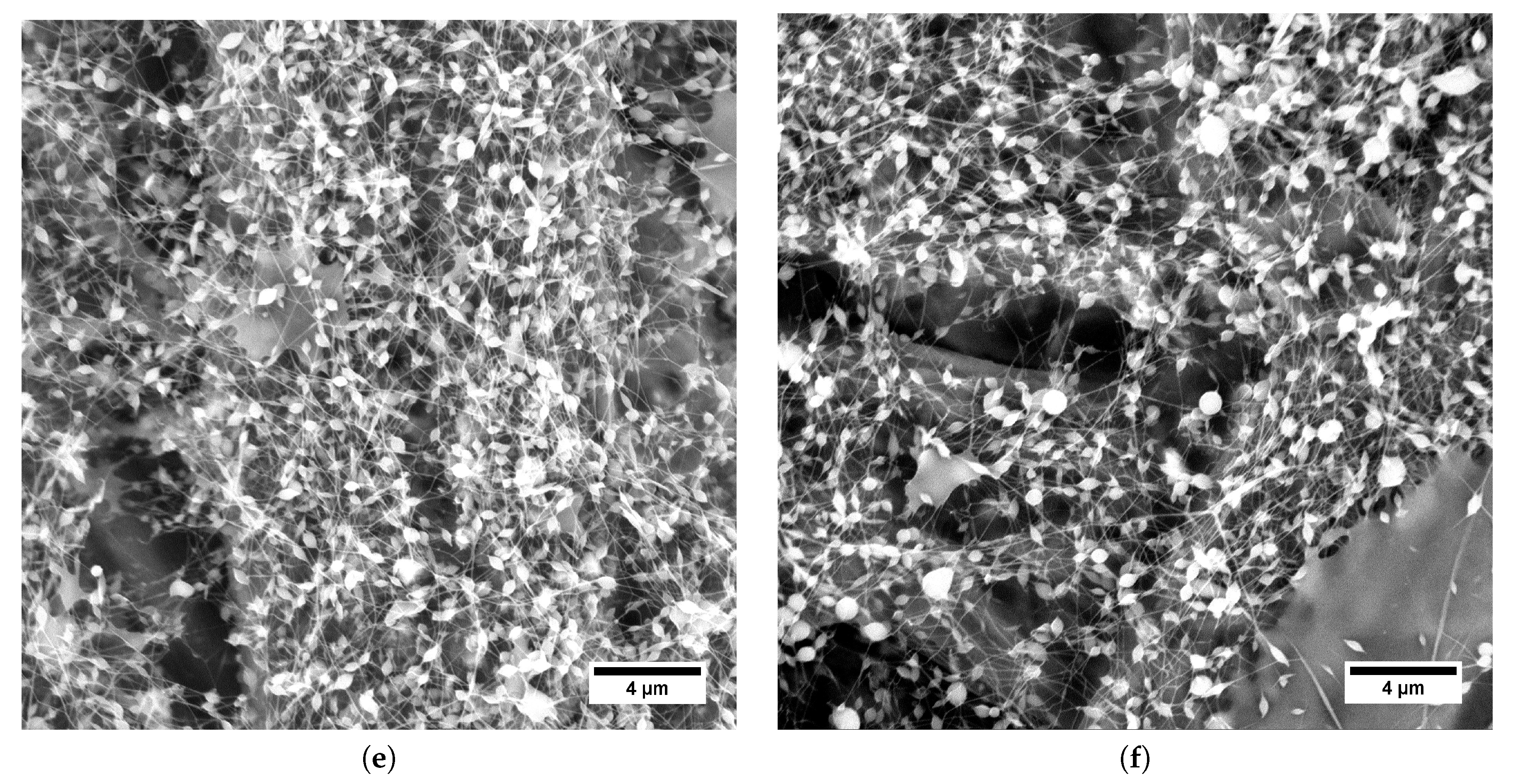 Polymers 11 01517 g006b