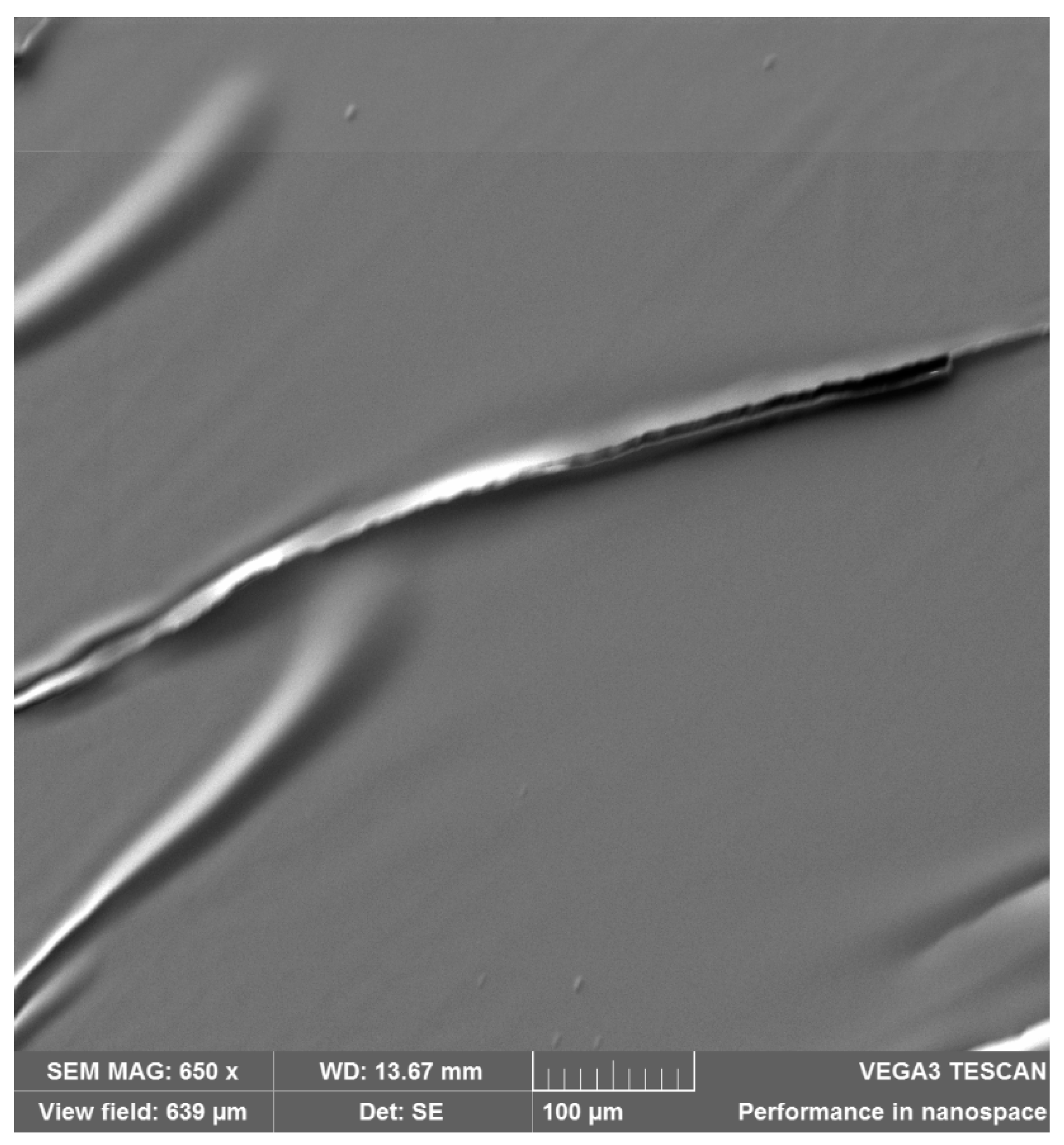 Polymers 11 01518 g002