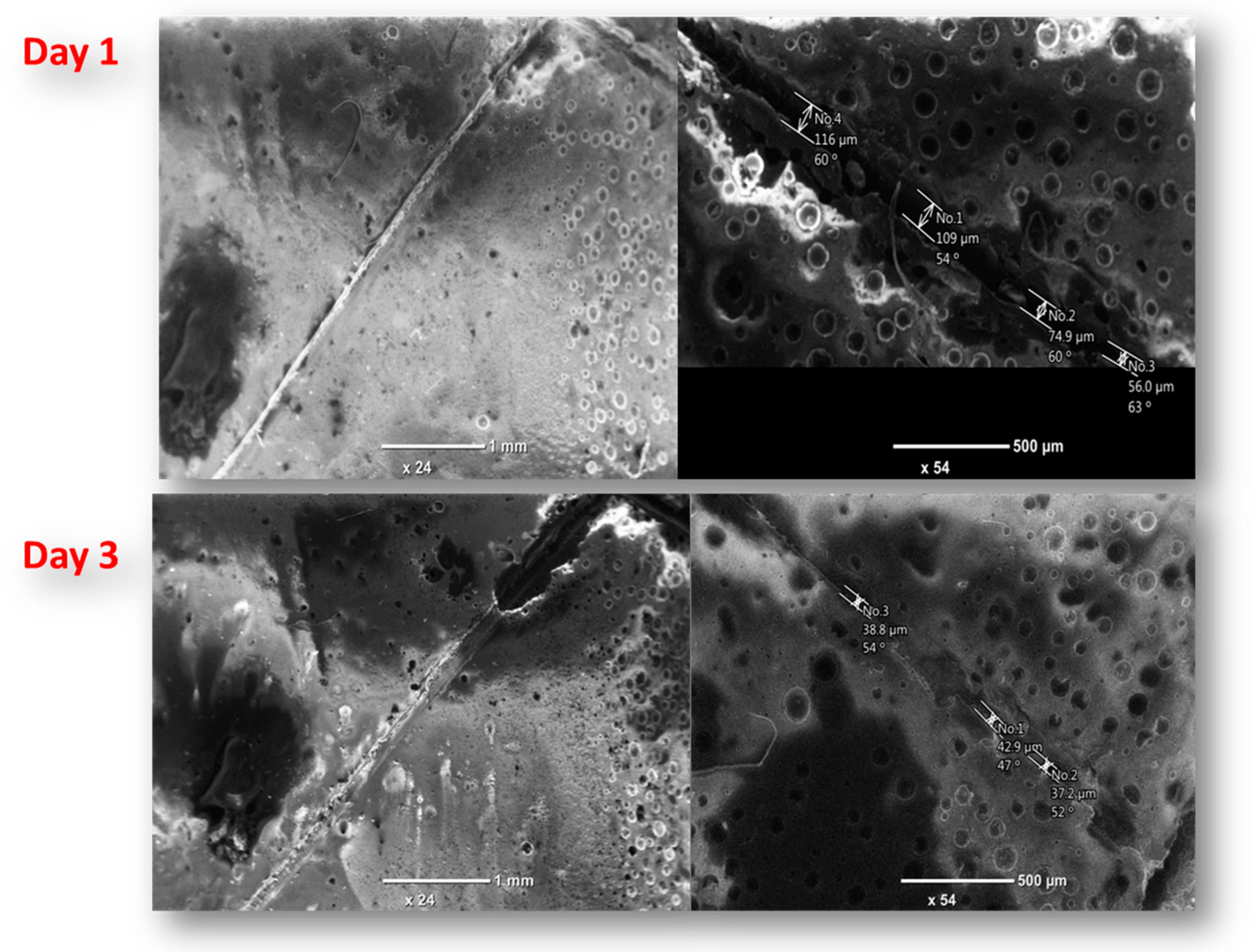Polymers 11 01519 g010 Polymers 11 01519 g010