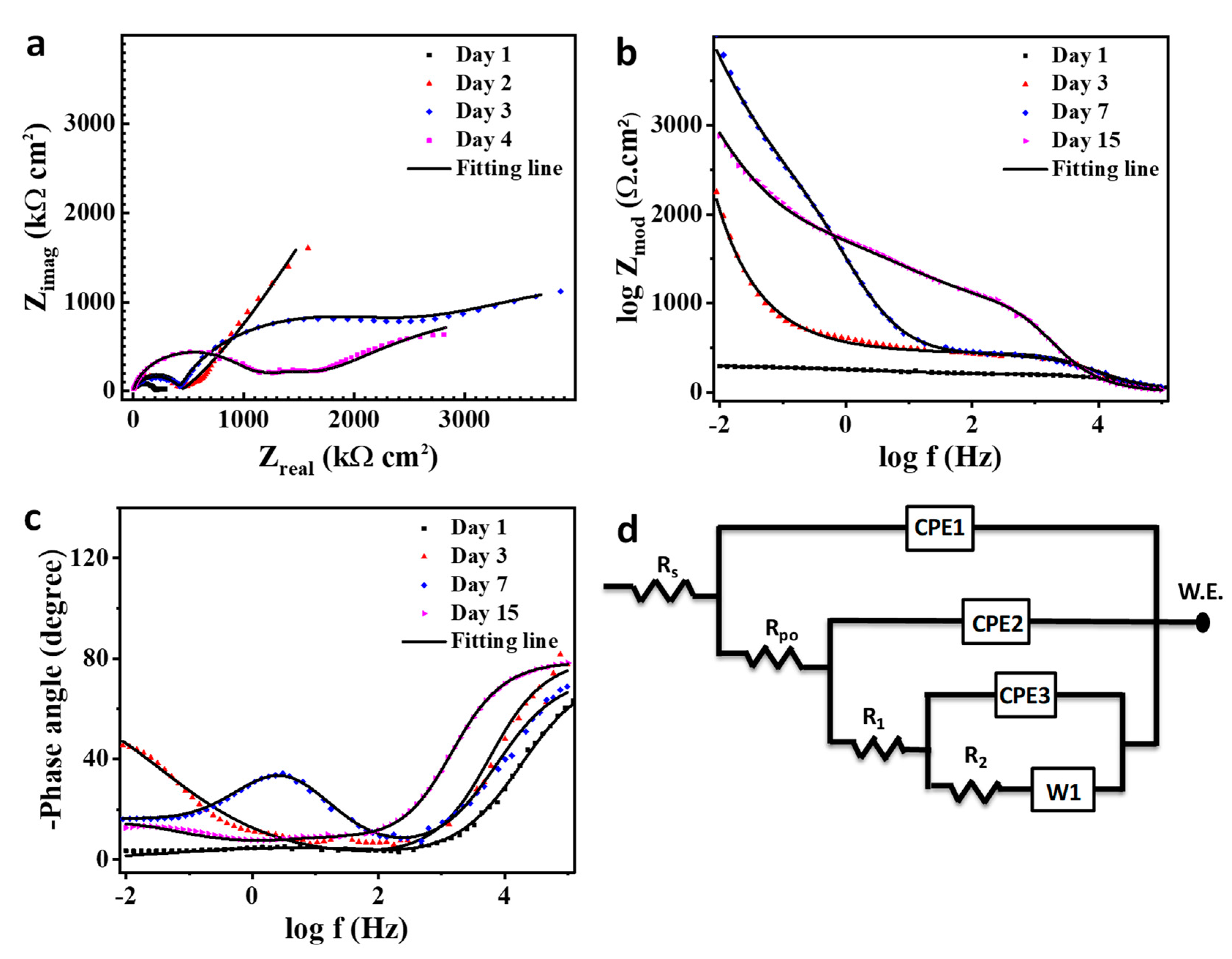 Polymers 11 01519 g013 Polymers 11 01519 g013