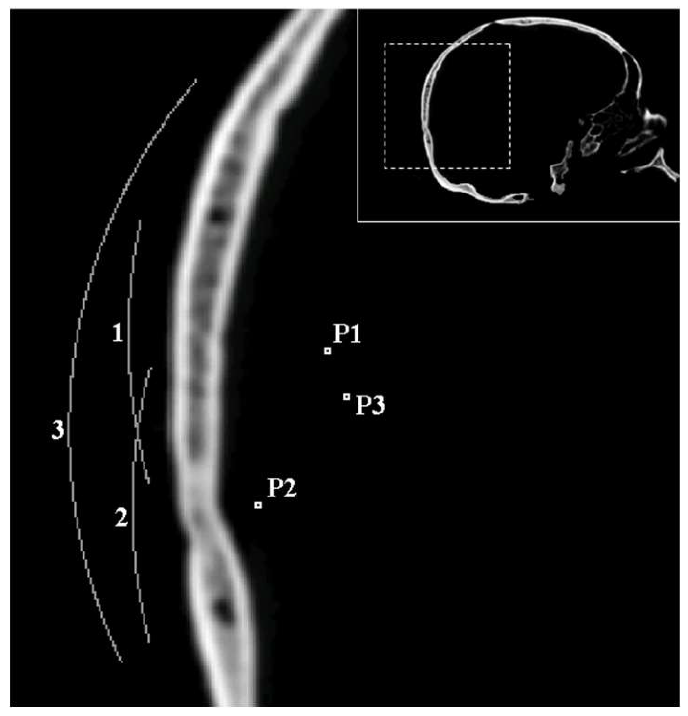 Polymers 11 01521 g001