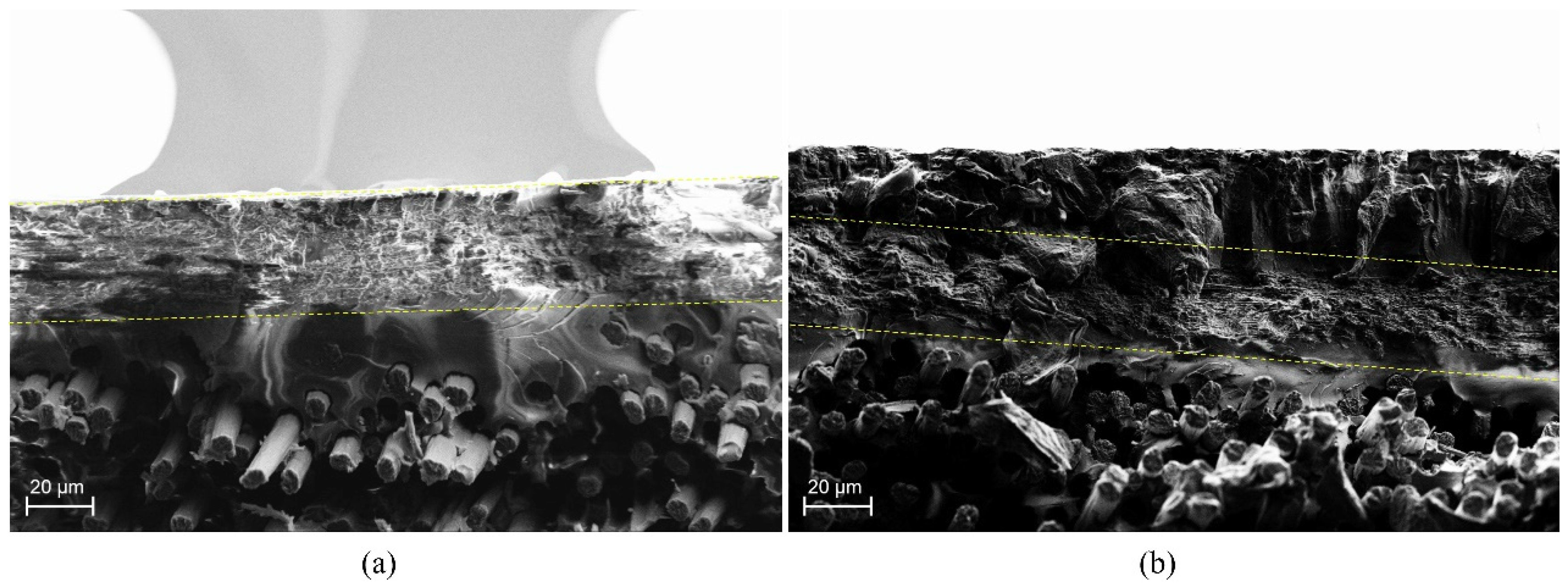 Polymers 11 01524 g008 Polymers 11 01524 g008