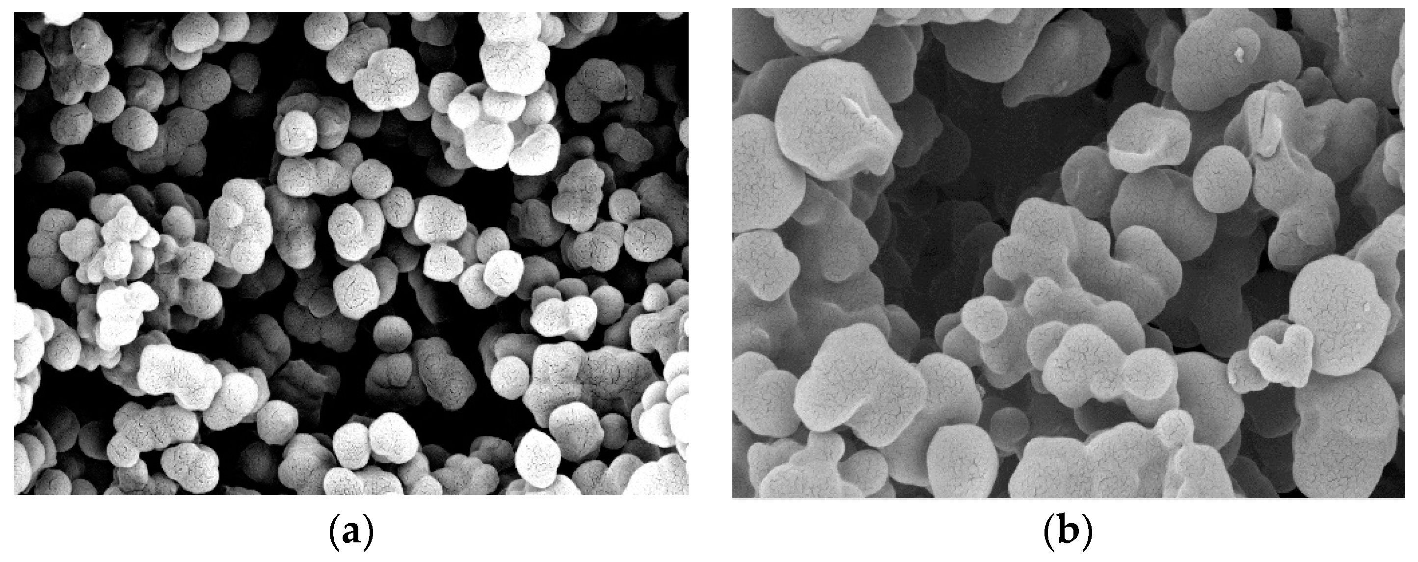 Polymers 11 01526 g002