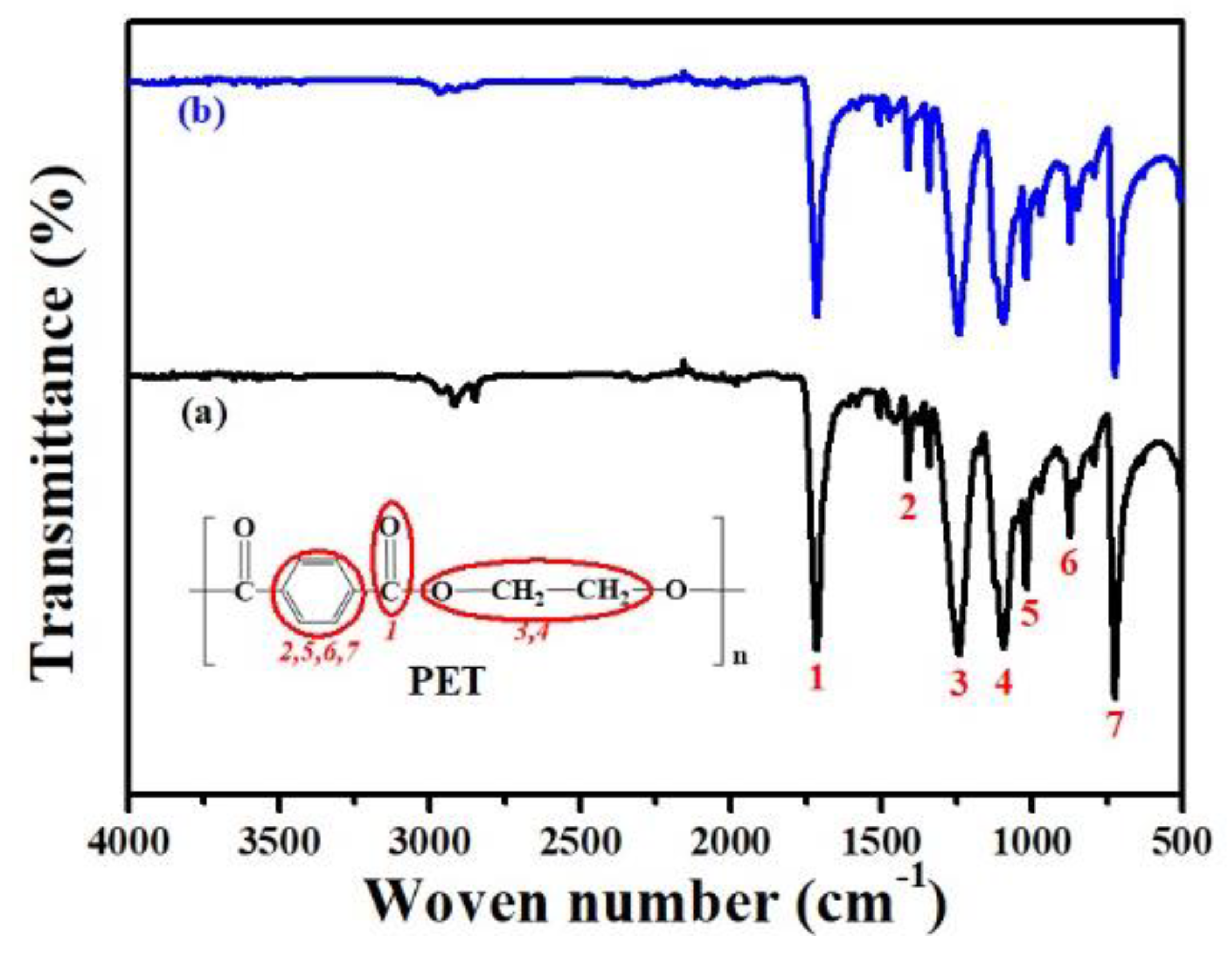 Polymers 11 01547 g004