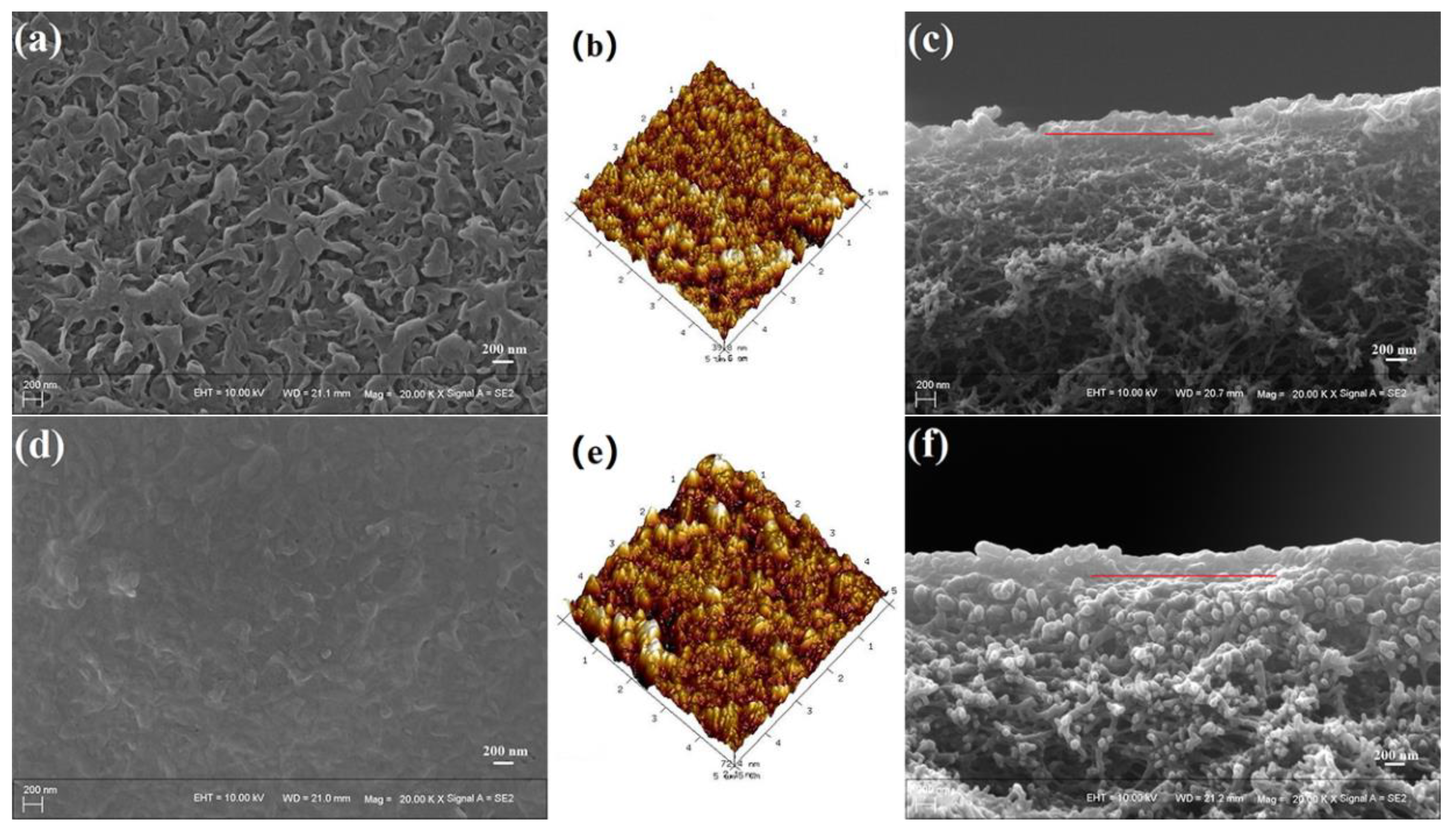 Polymers 11 01547 g015
