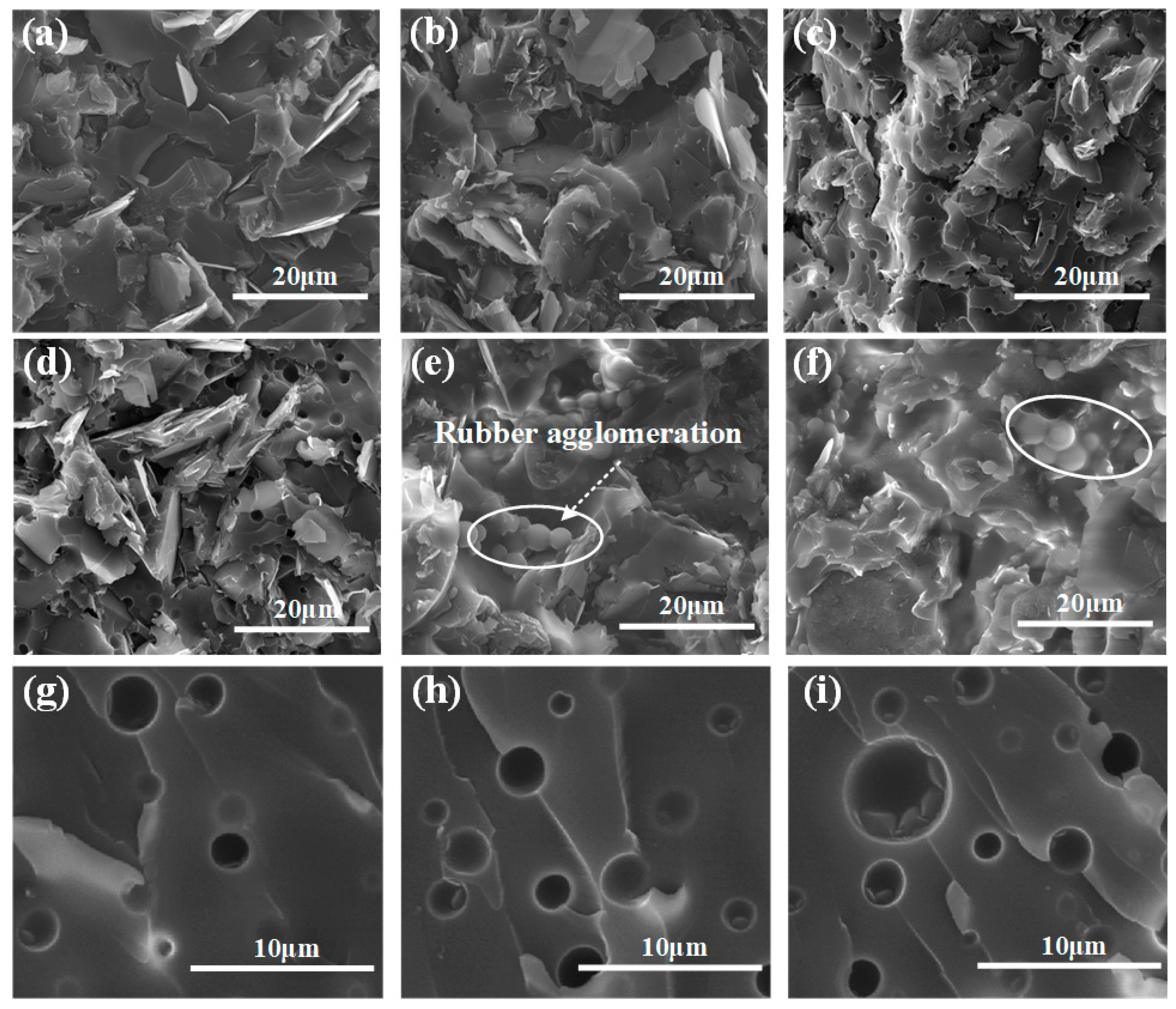 Polymers 11 01548 g001