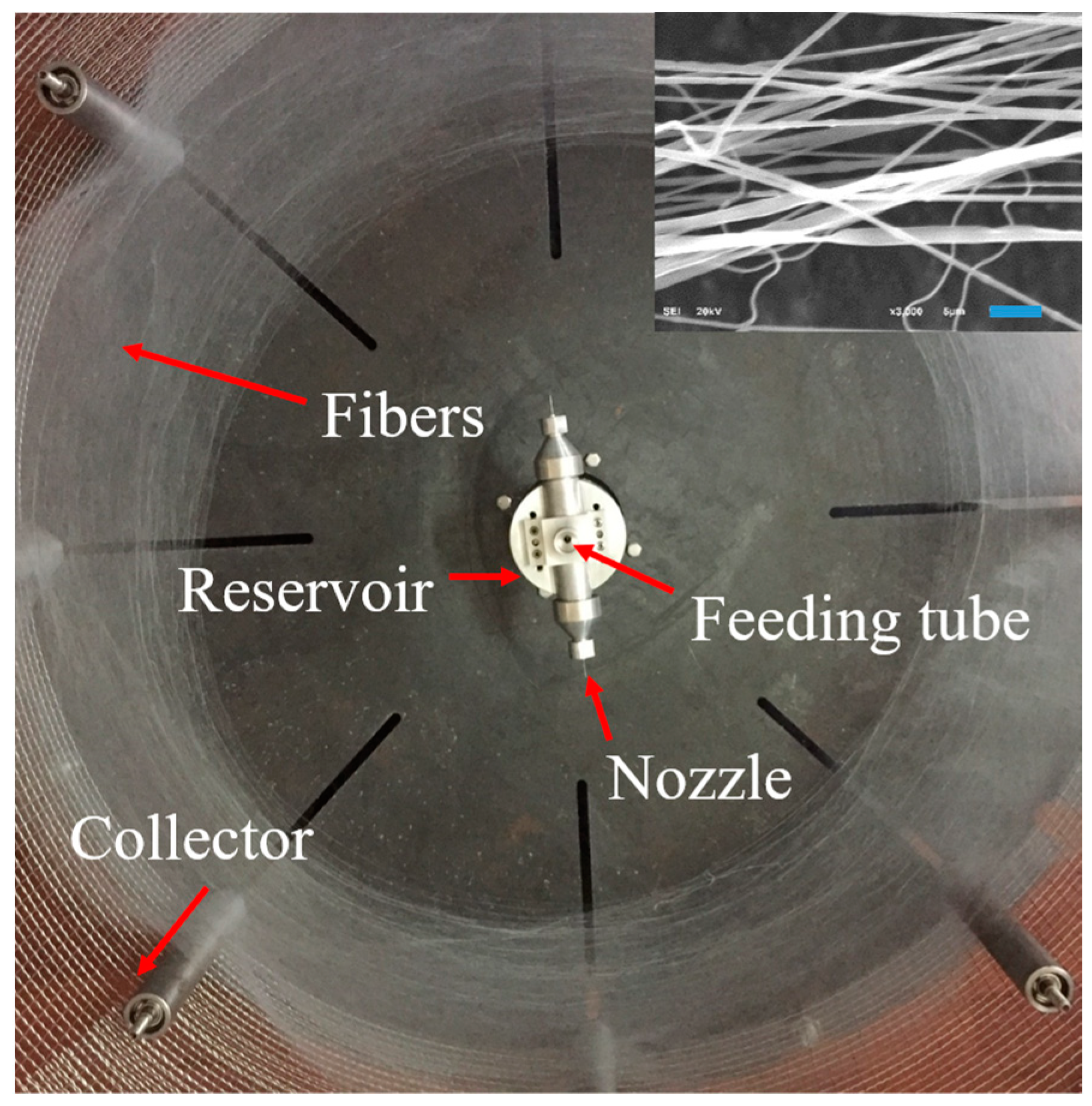 Polymers 11 01550 g001