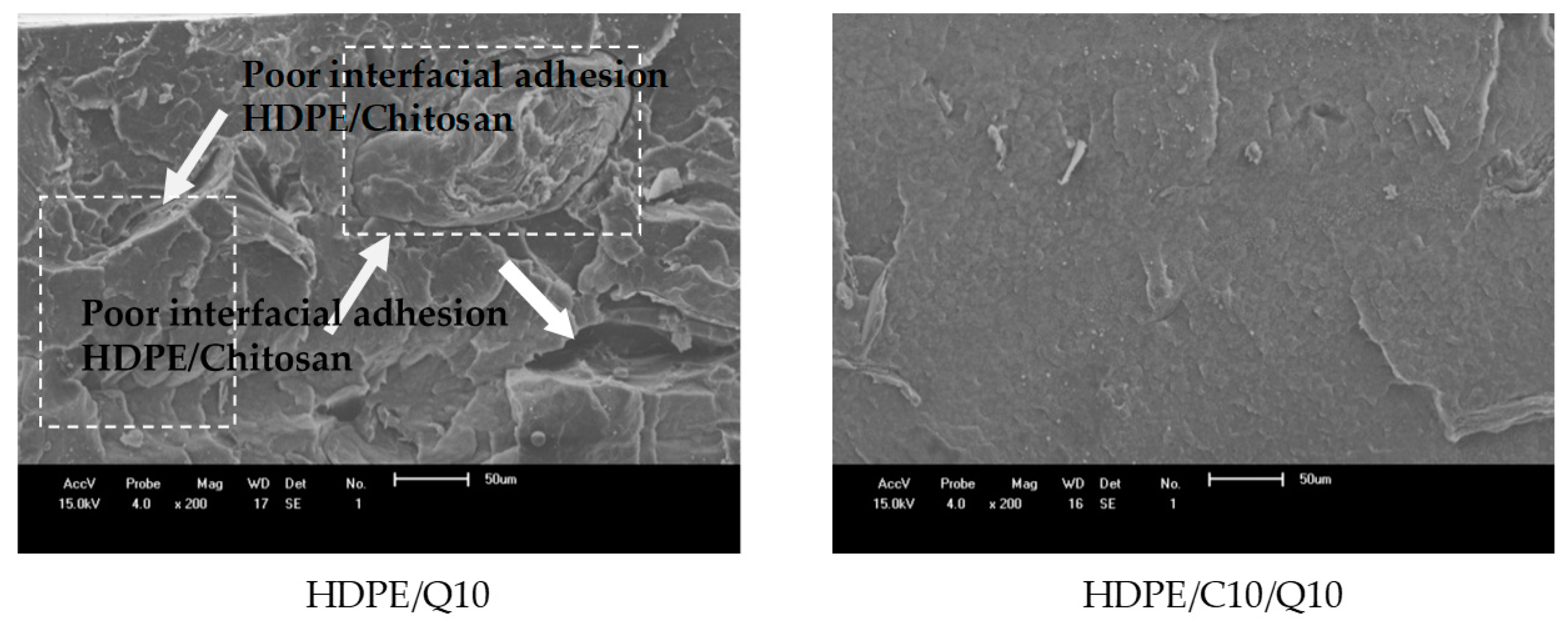 Polymers 11 01559 g009a Polymers 11 01559 g009a
