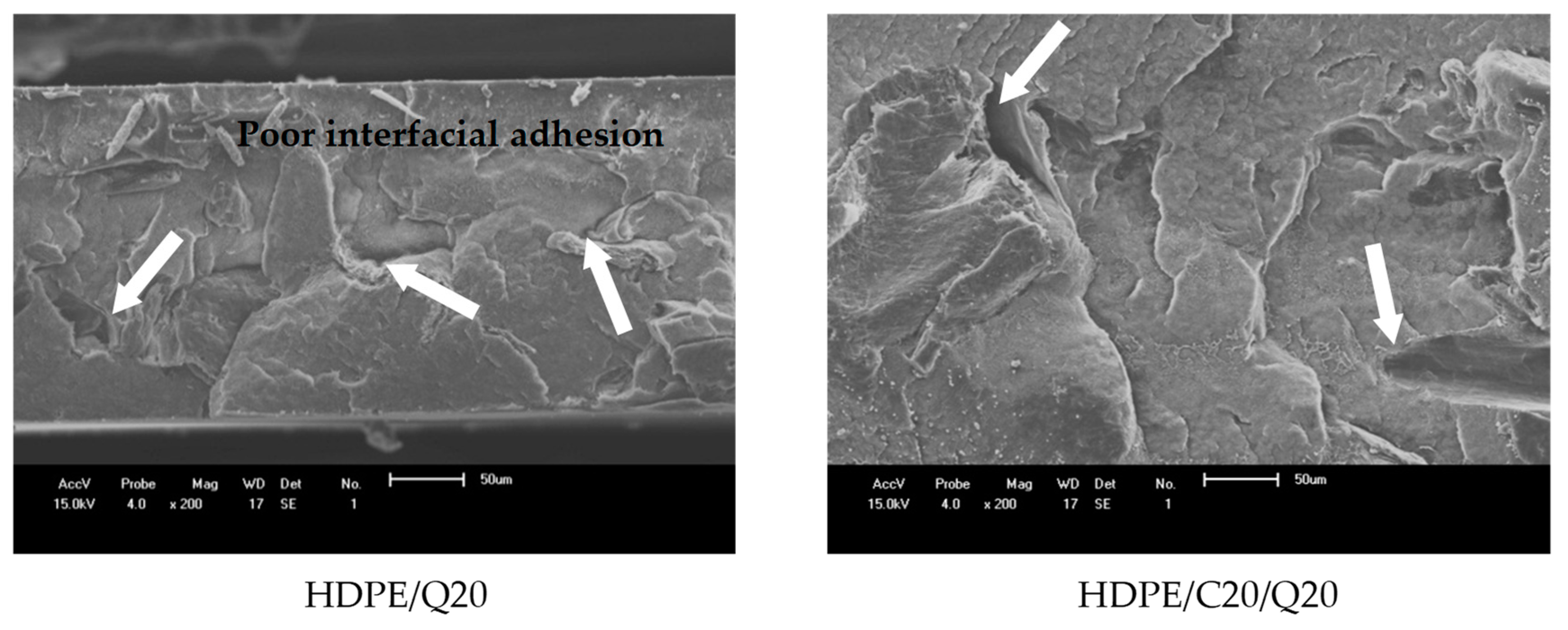 Polymers 11 01559 g009b Polymers 11 01559 g009b