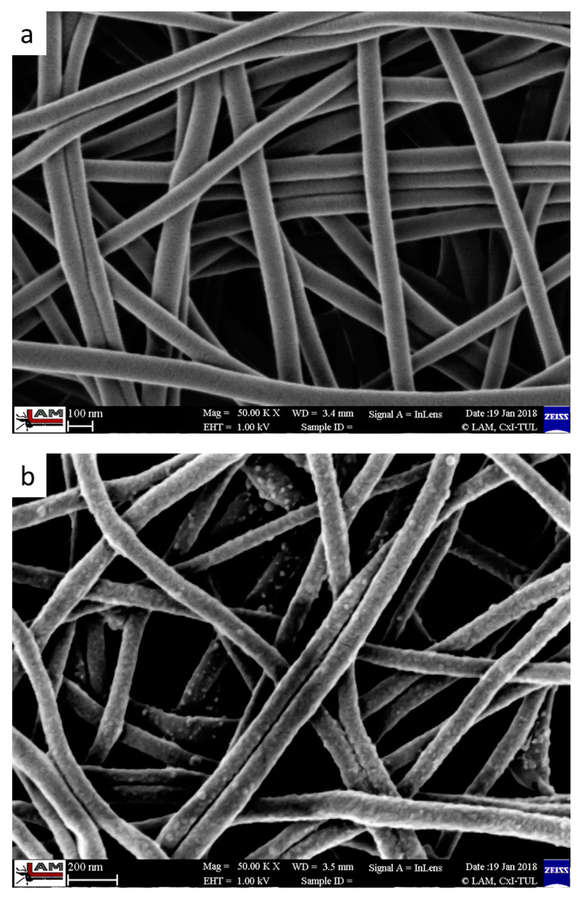 Polymers 11 01560 g003
