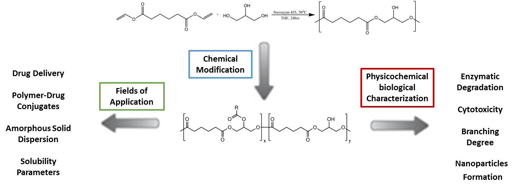 Synthesis polylactic acid by lipase catalyzed polymerization biology essay 08 picture