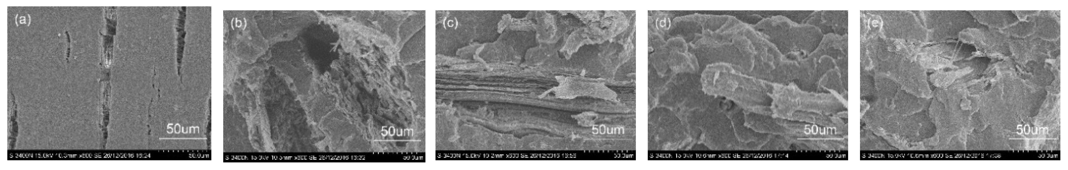 Polymers 11 01567 g011