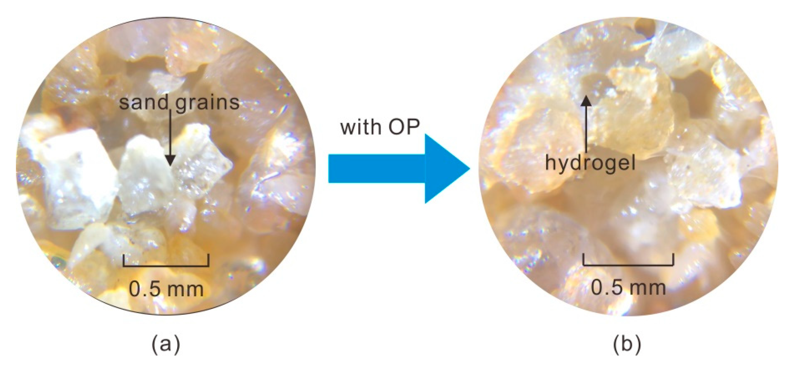 Polymers 11 01576 g016