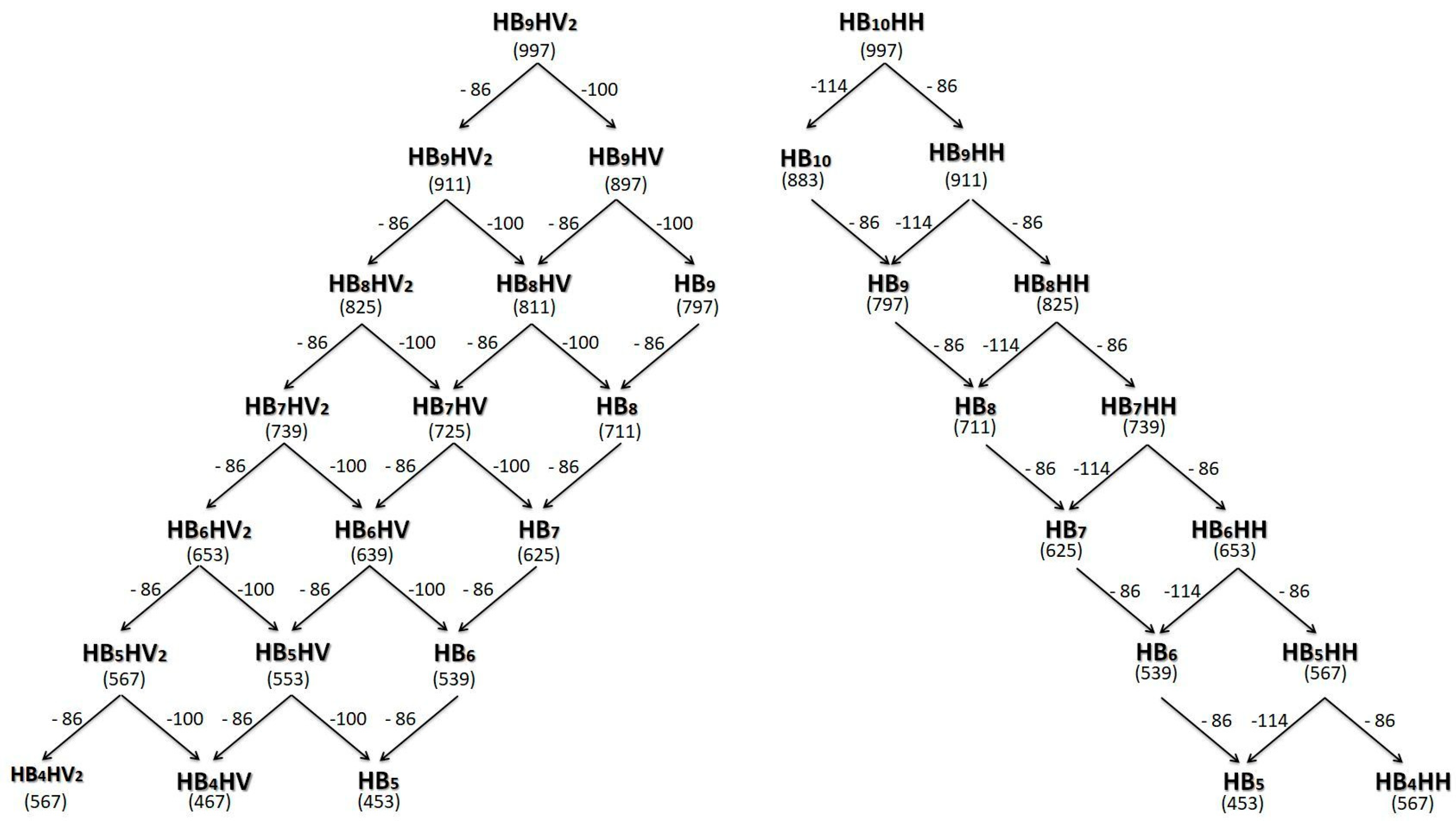 Polymers 11 01580 sch003 Polymers 11 01580 sch003