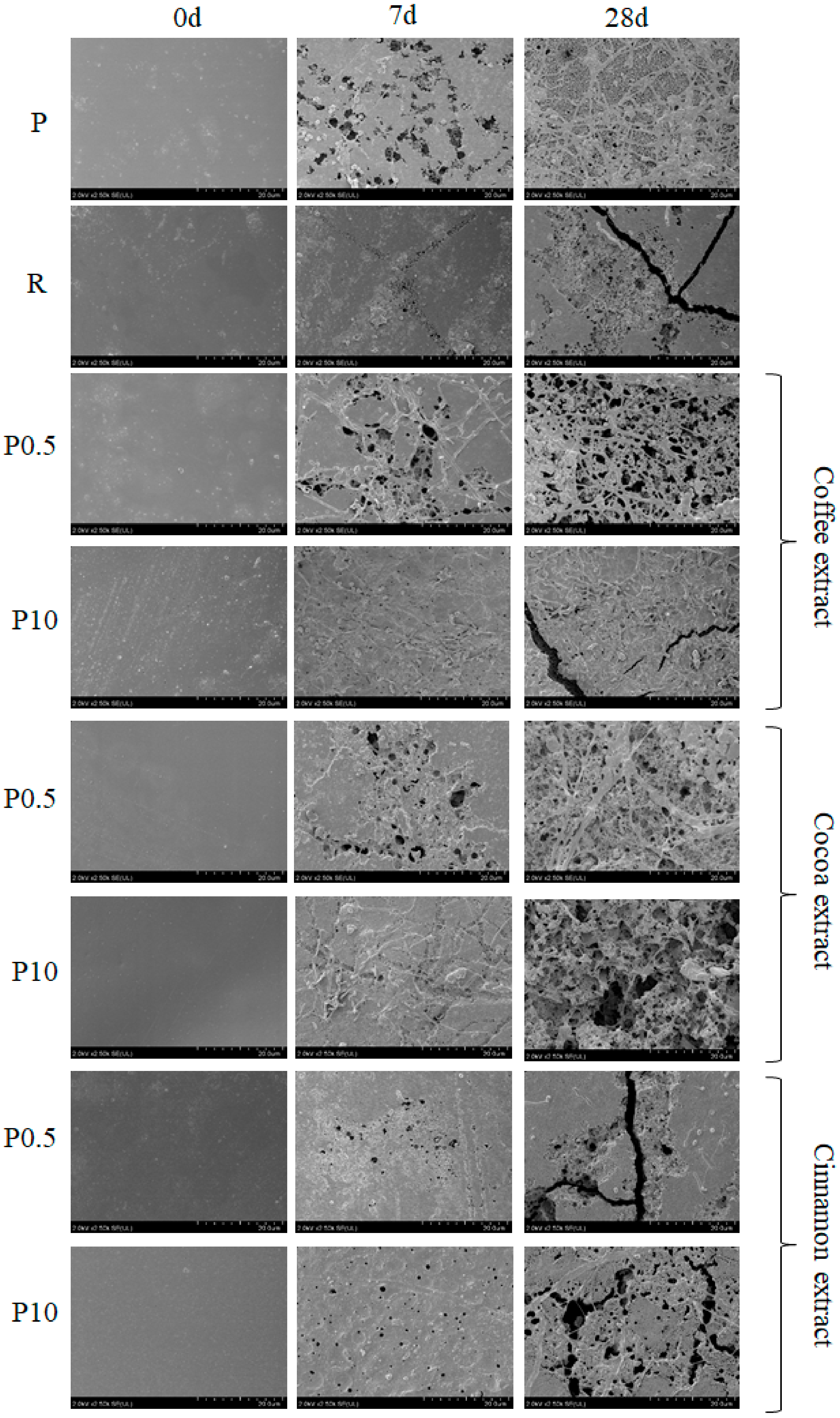 Polymers 11 01582 g002