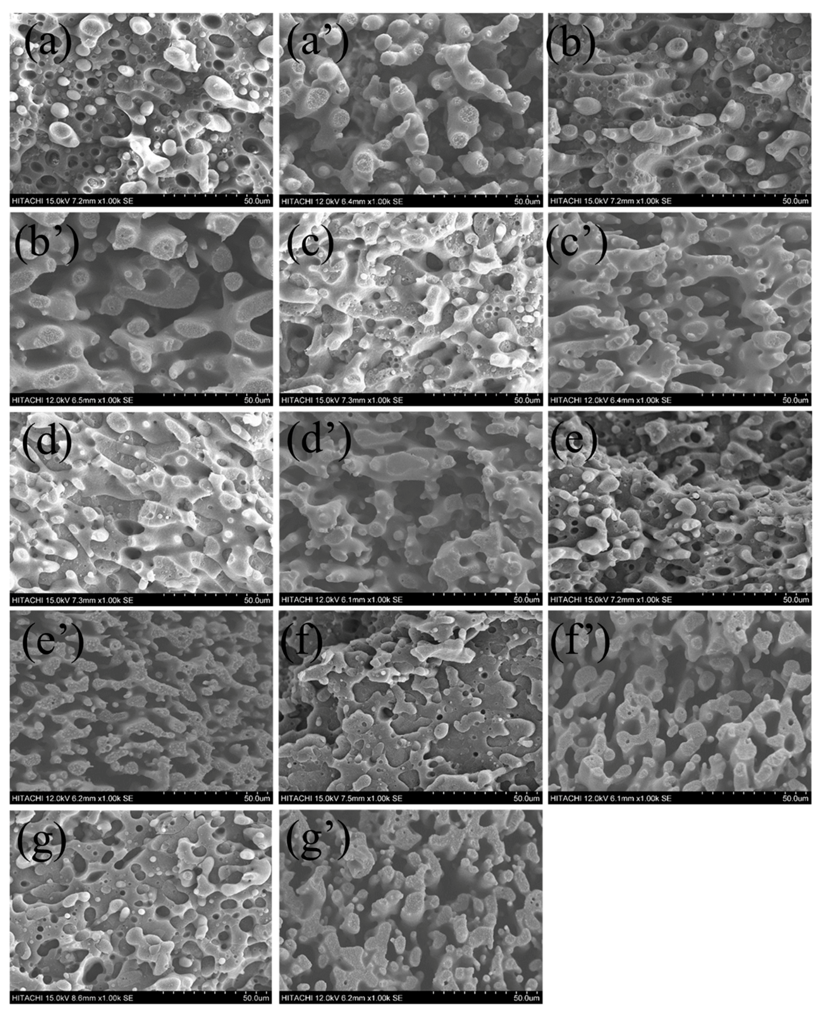 Polymers 11 01583 g002