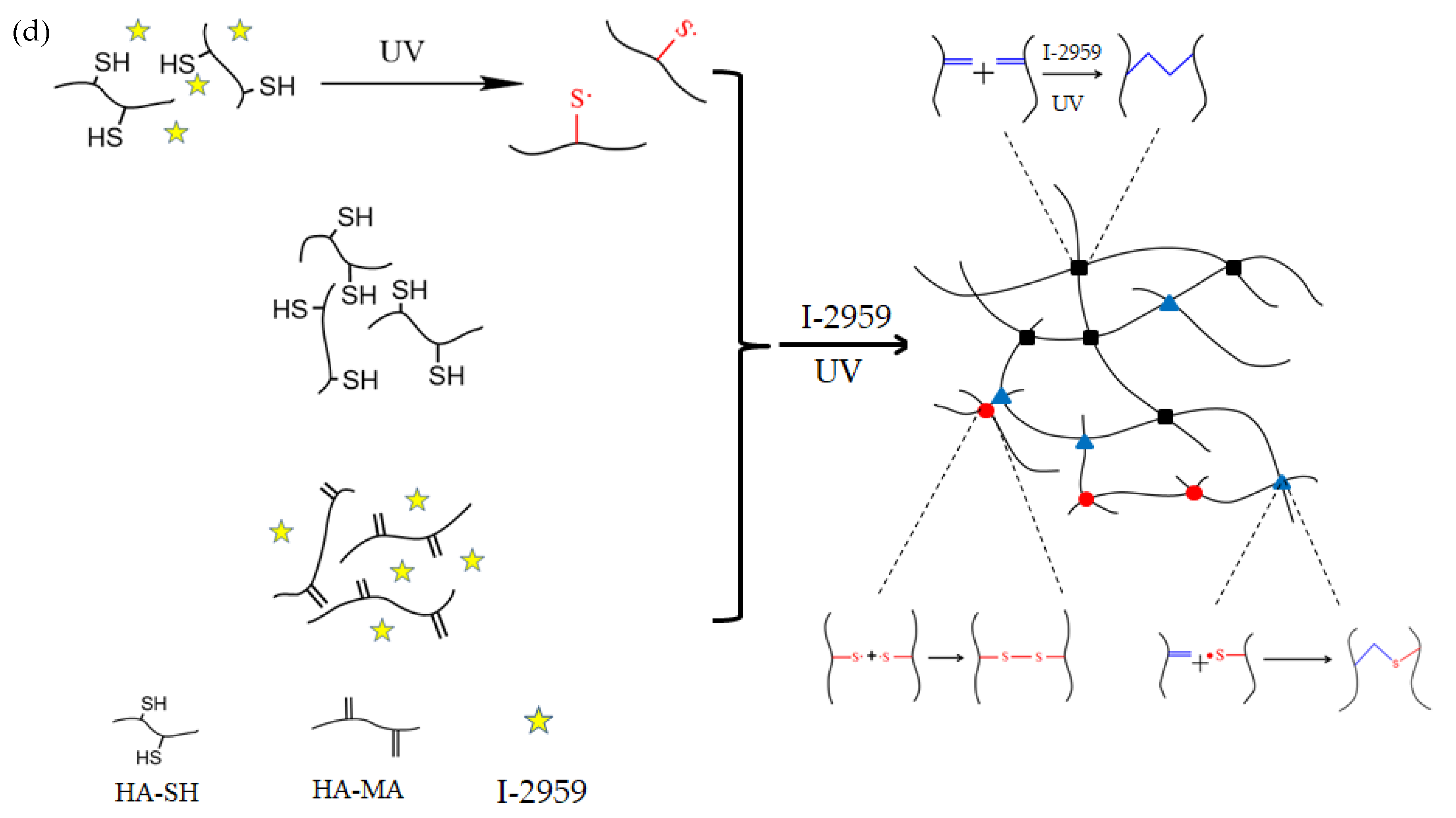 Polymers 11 01584 g001b