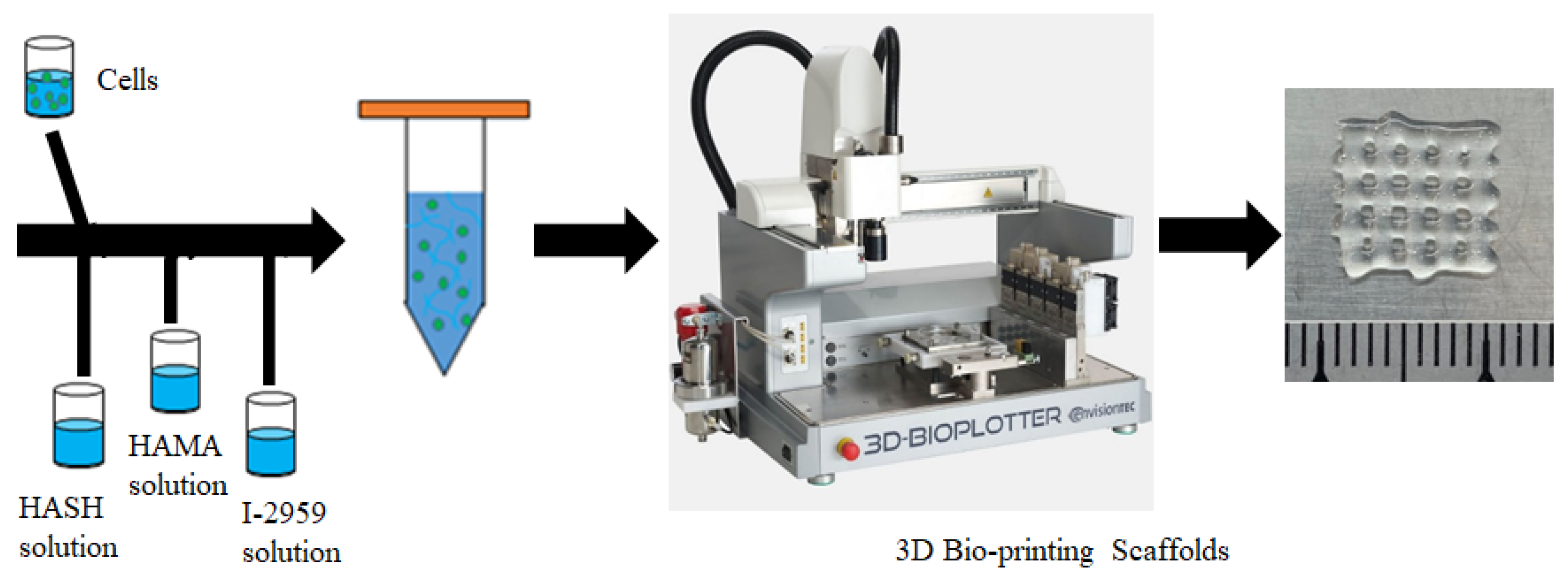 Polymers 11 01584 g002