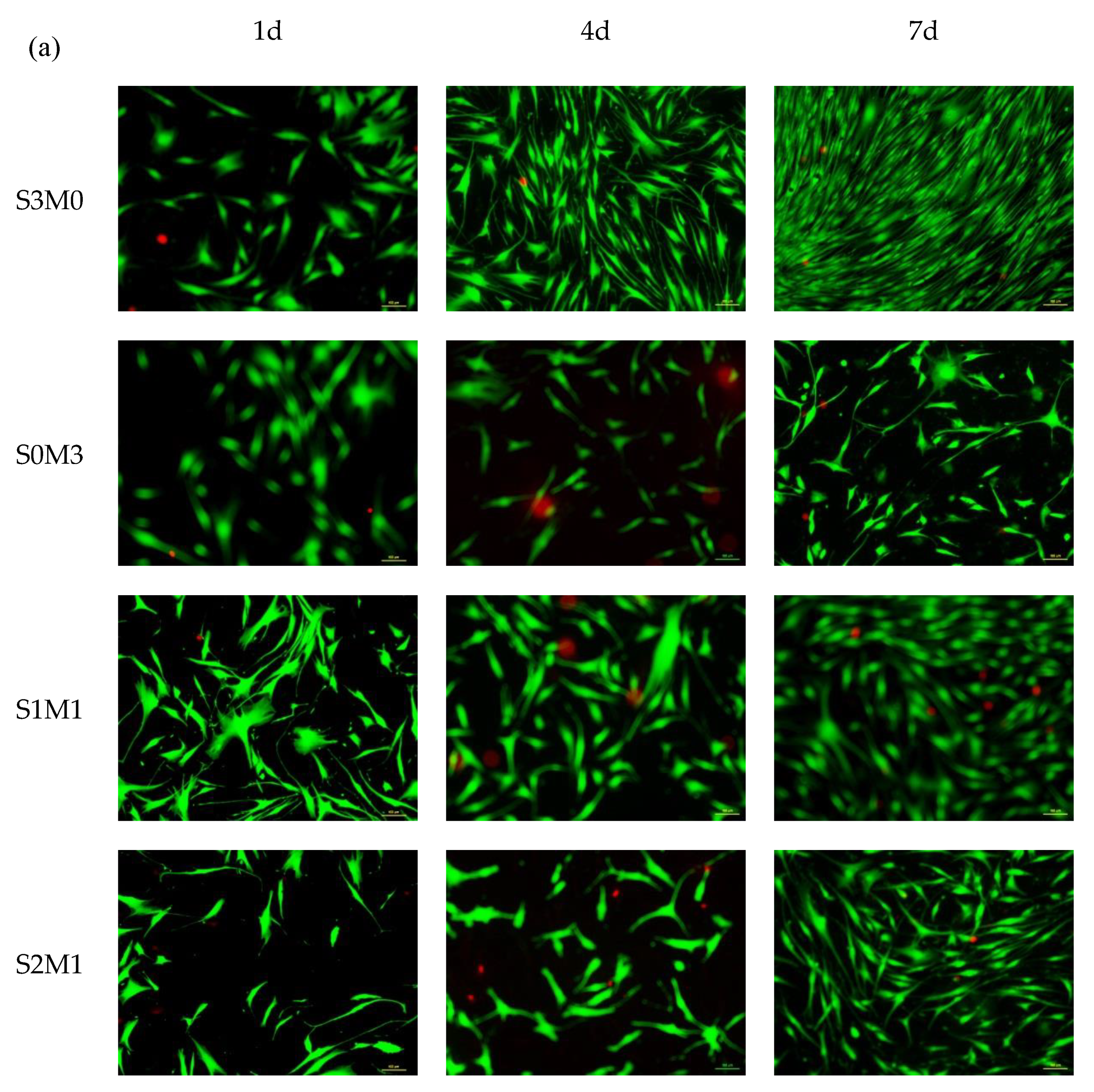 Polymers 11 01584 g007a