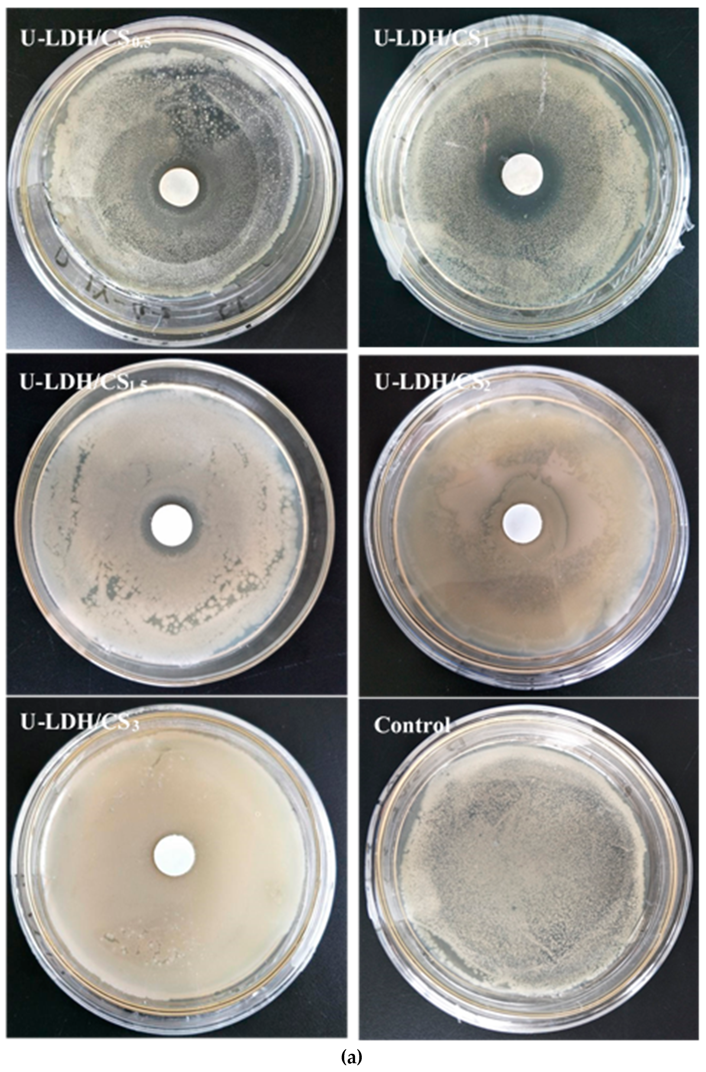 Polymers 11 01588 g009a Polymers 11 01588 g009a