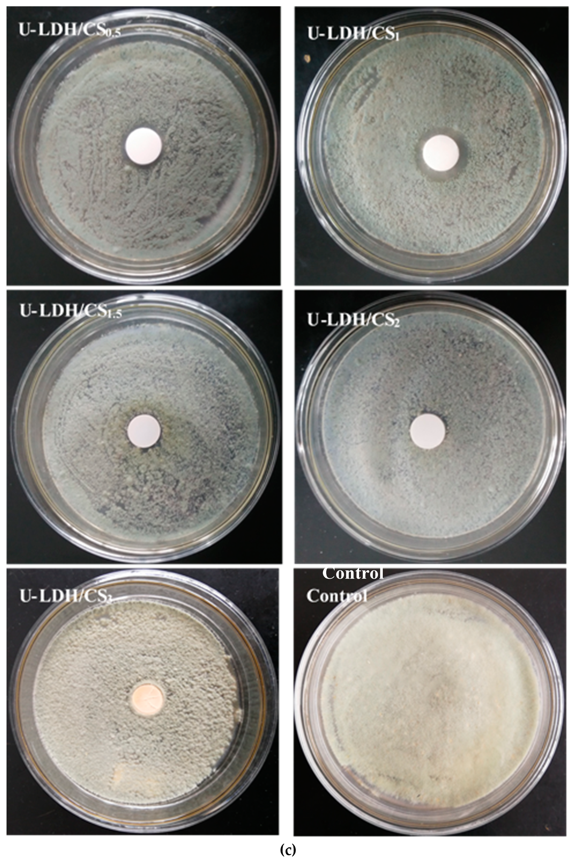 Polymers 11 01588 g009c Polymers 11 01588 g009c