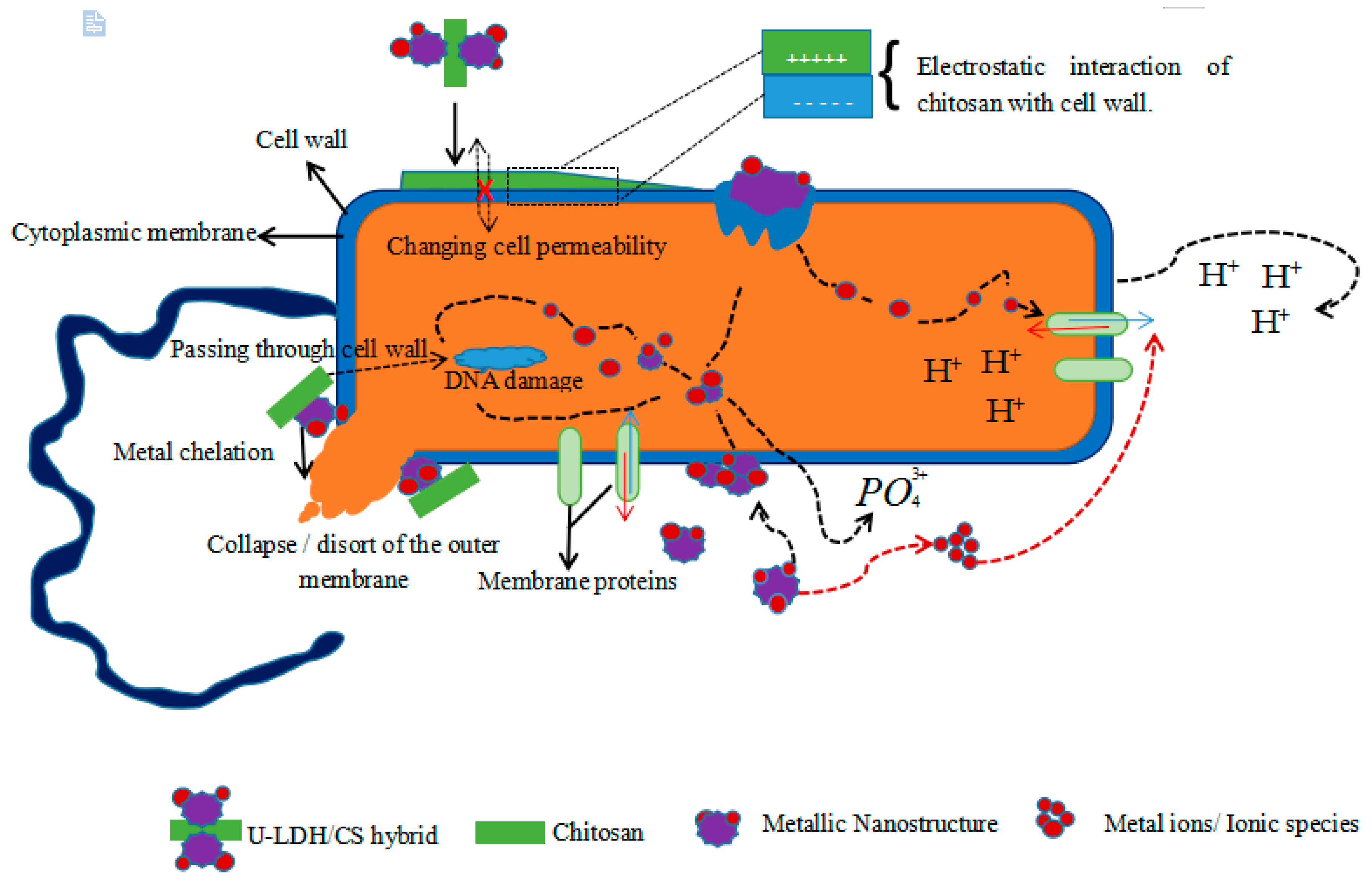 Polymers 11 01588 g010 Polymers 11 01588 g010