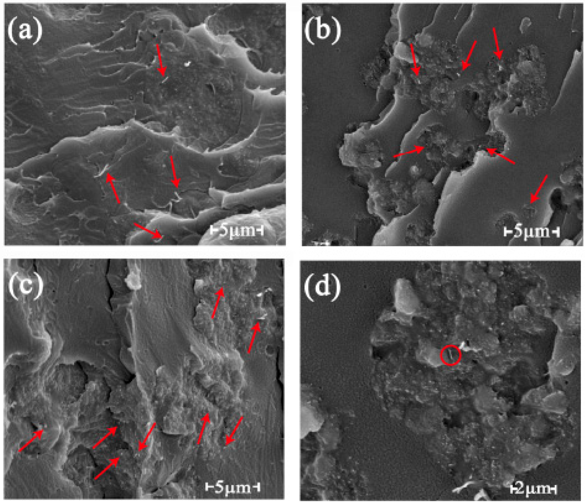 Polymers 11 01589 g004